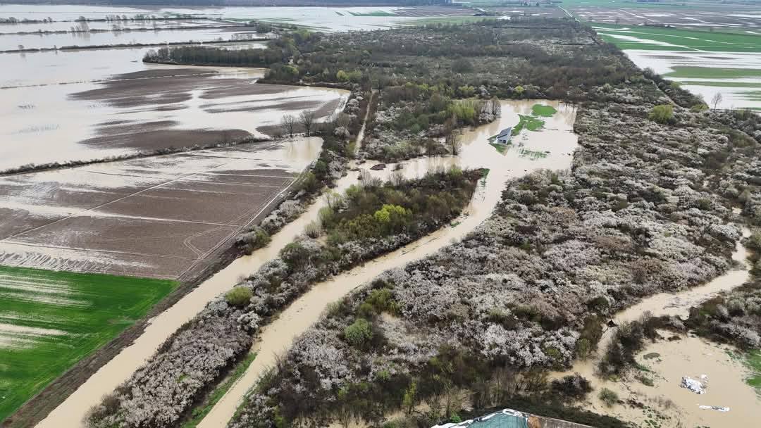 poplave, hrvaška Virovitičko-podravska županija