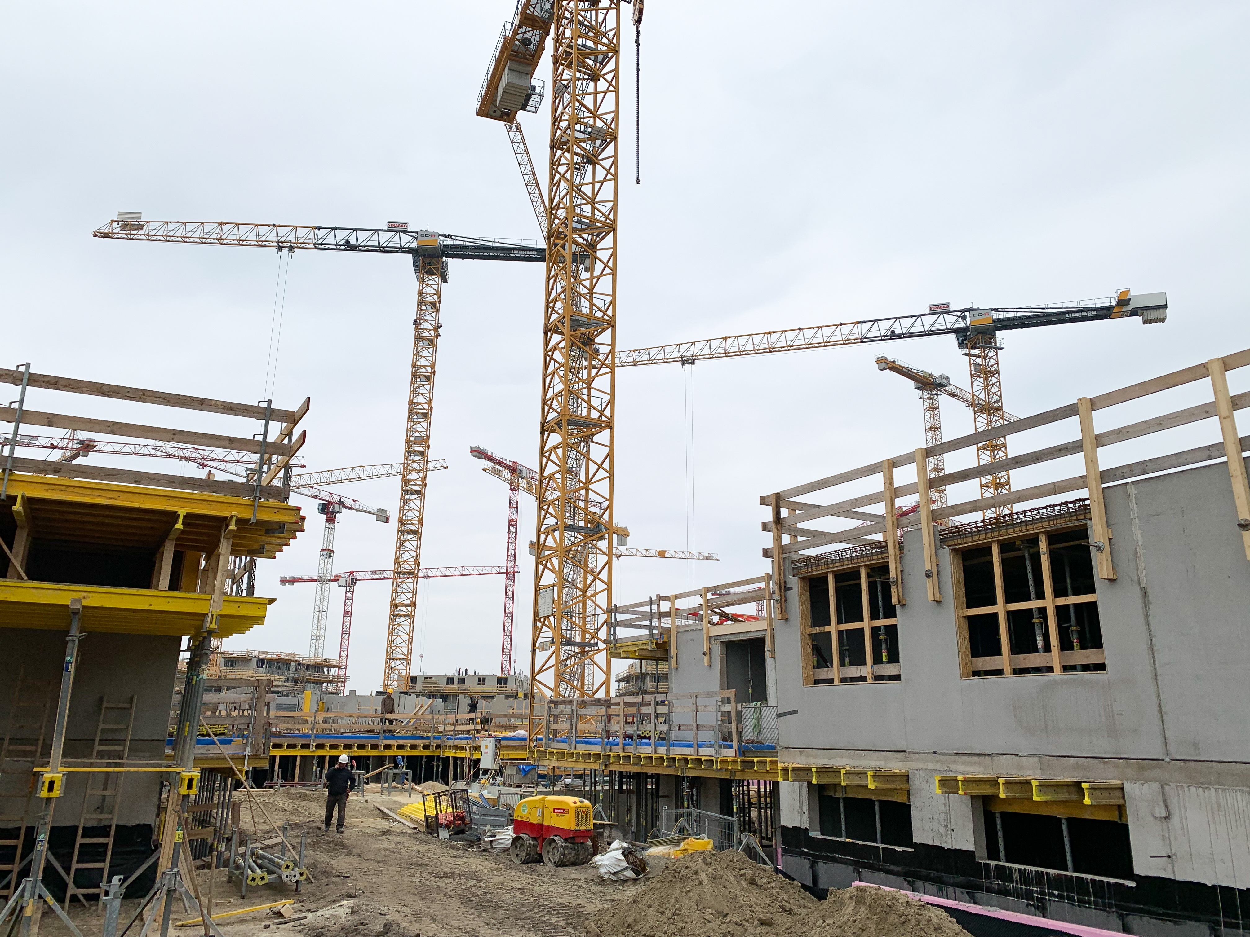 dunaj, stanovanja, najmenine, gradnja