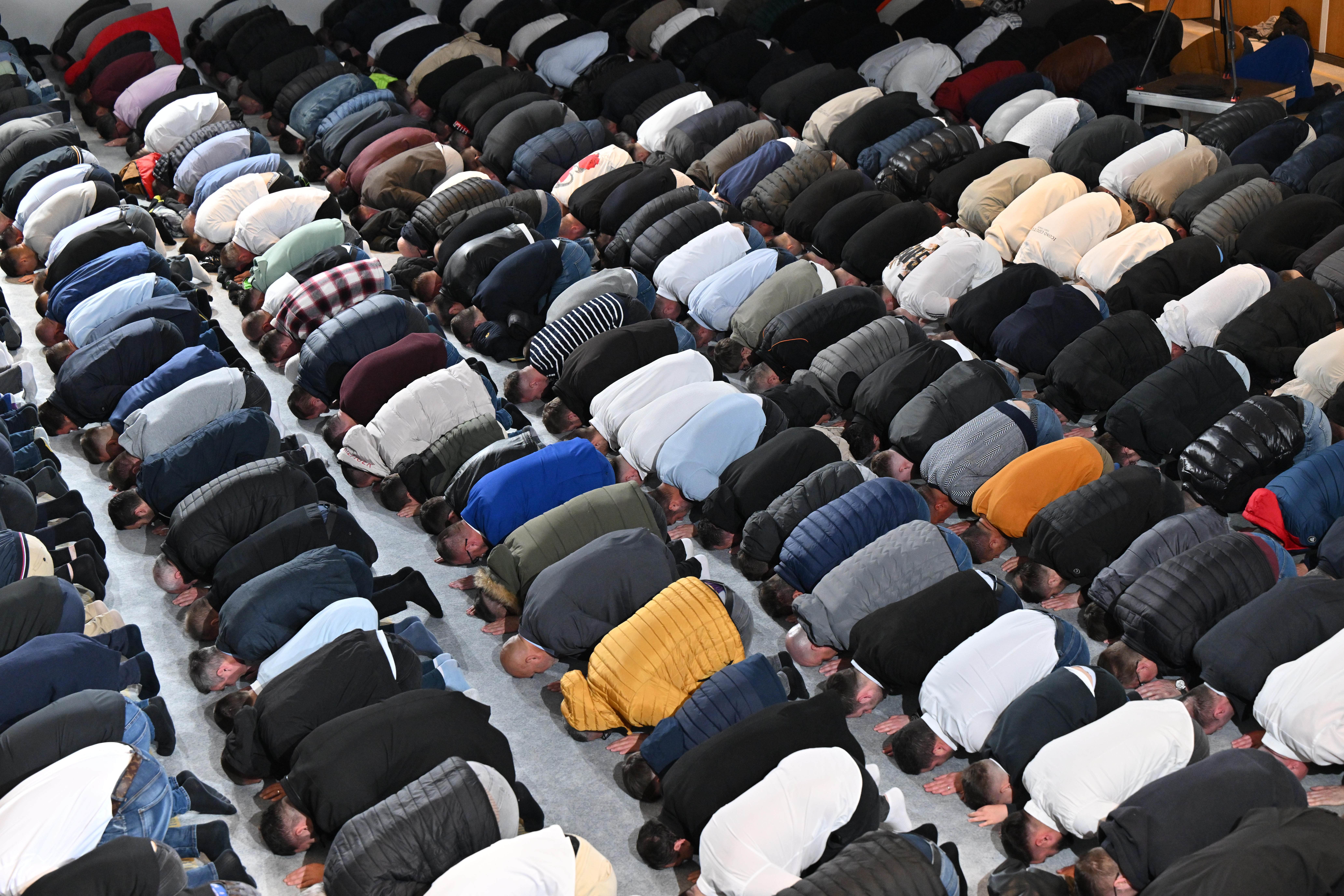 Foto: Žiga Živulović jr./F.A.Bobo