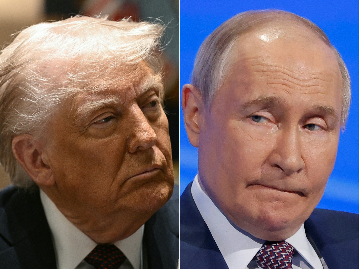 donald trump, vladimir putin