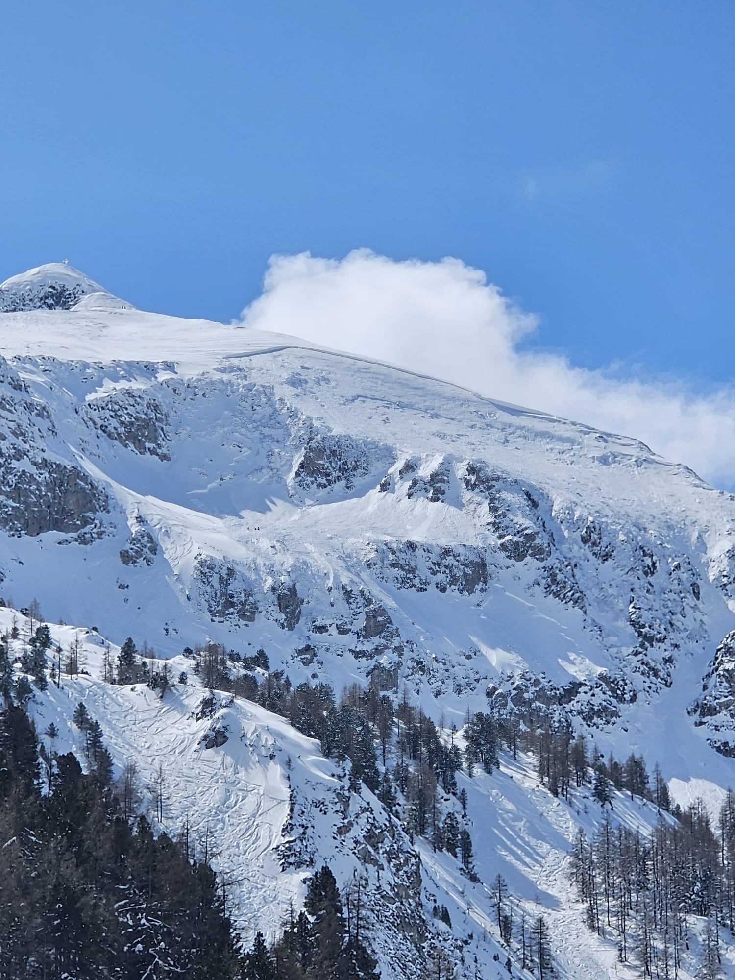 Avstrijsko reševanje