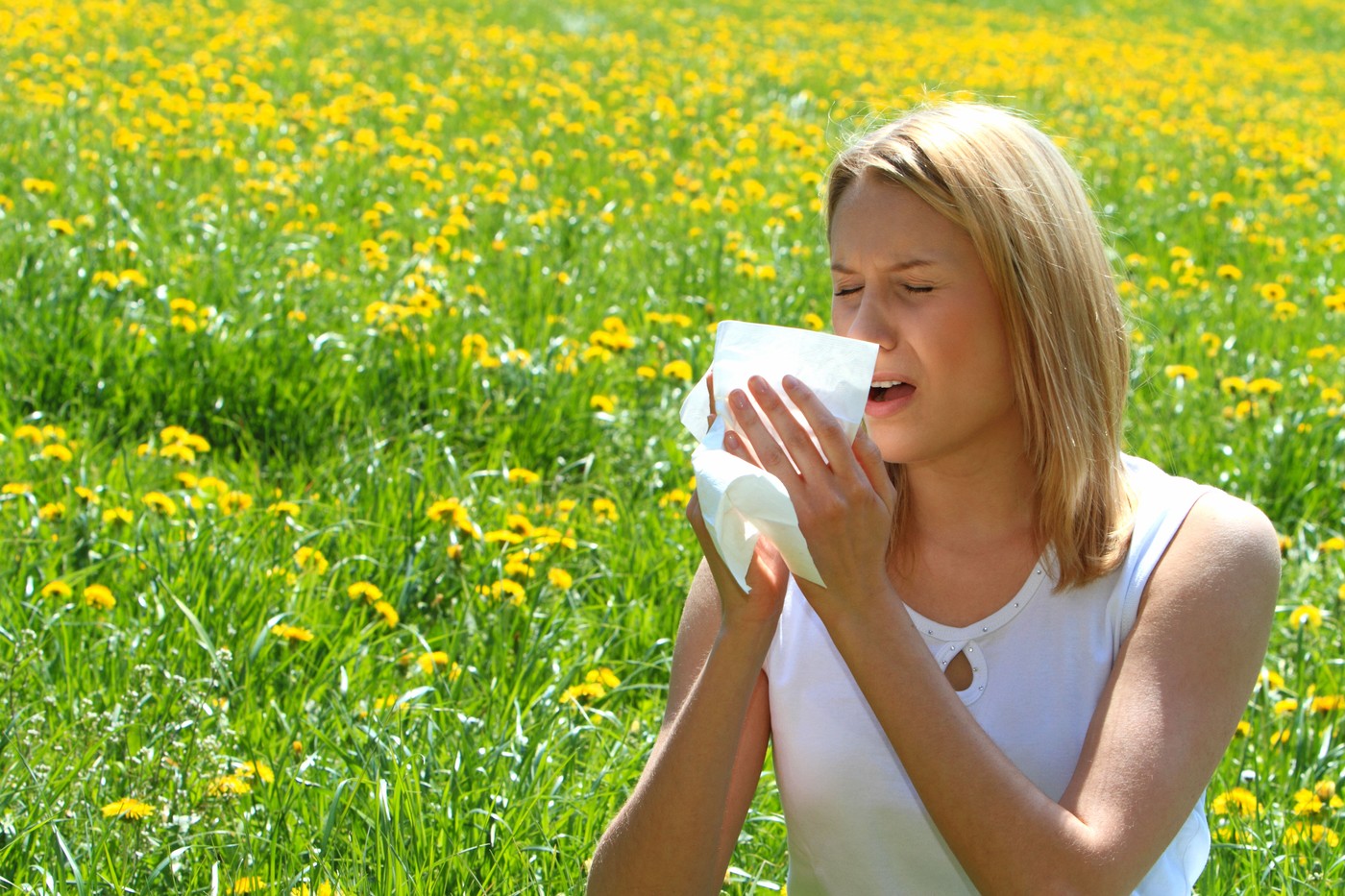 alergije, alergija, cvetni prah, pelod