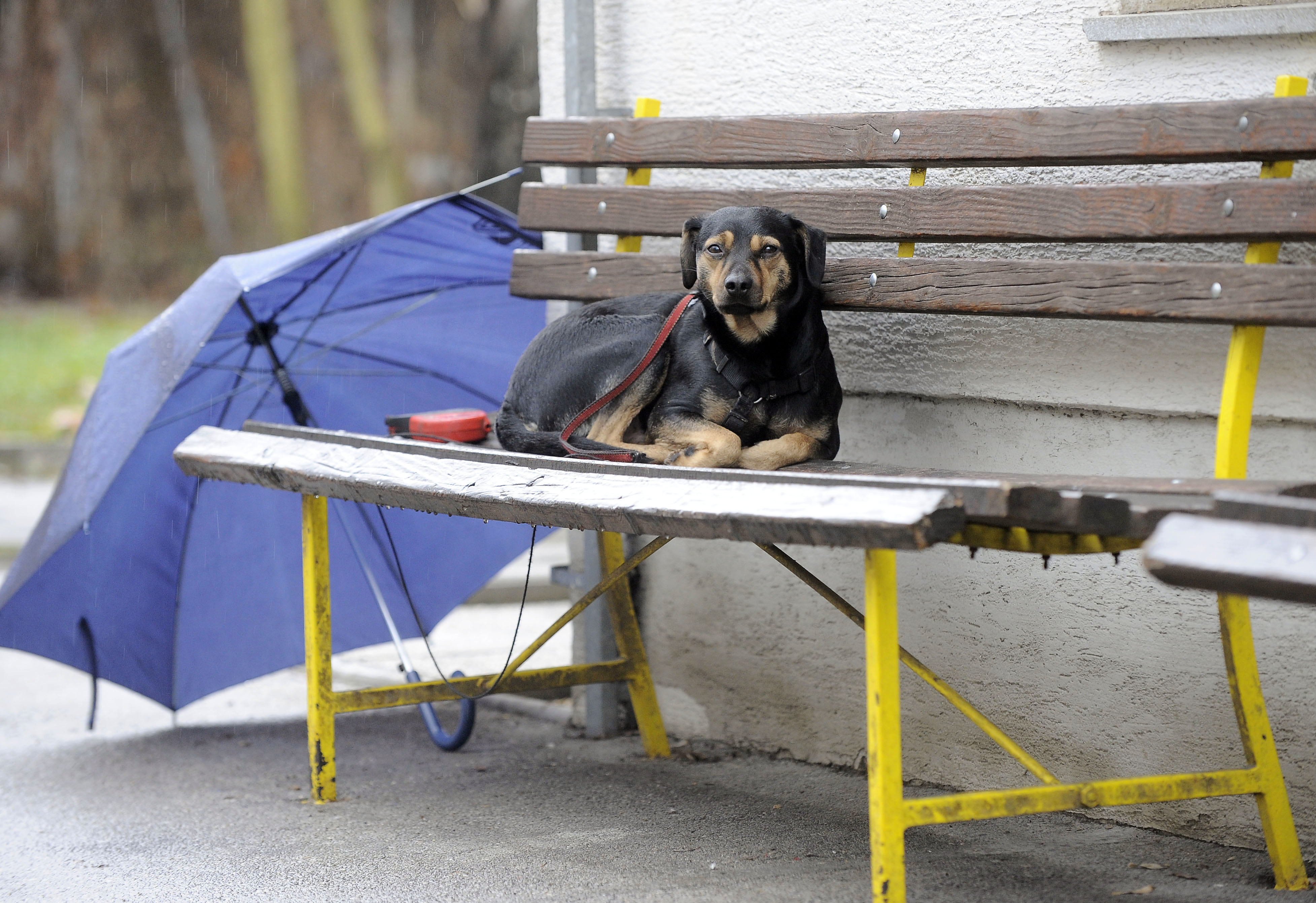 ZAVETISCE ZA BREZDOMCE KUZA