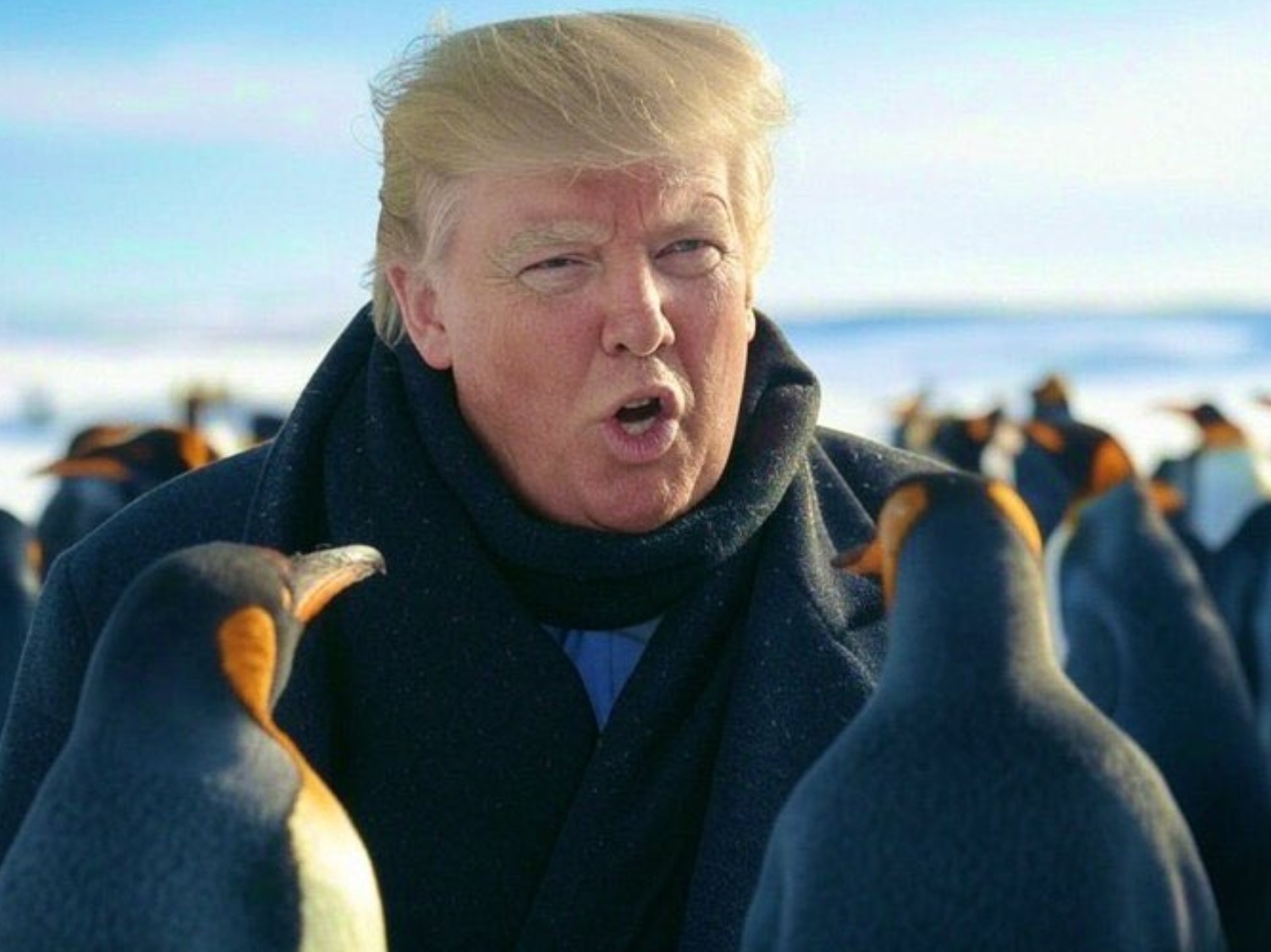 Donald Trump, pingvini, meme