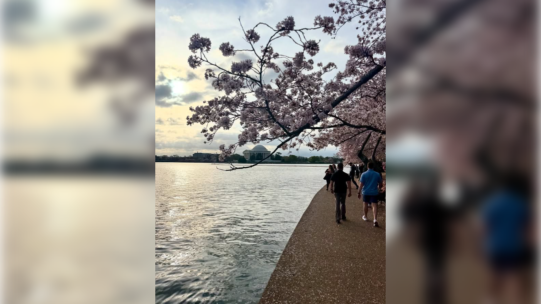 high-res-image - 2025-04-04T104239.726