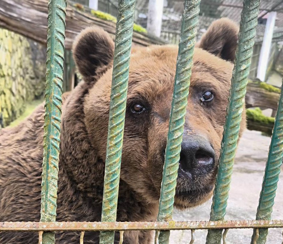 488405820_971226435212232_6268146411358122256_n