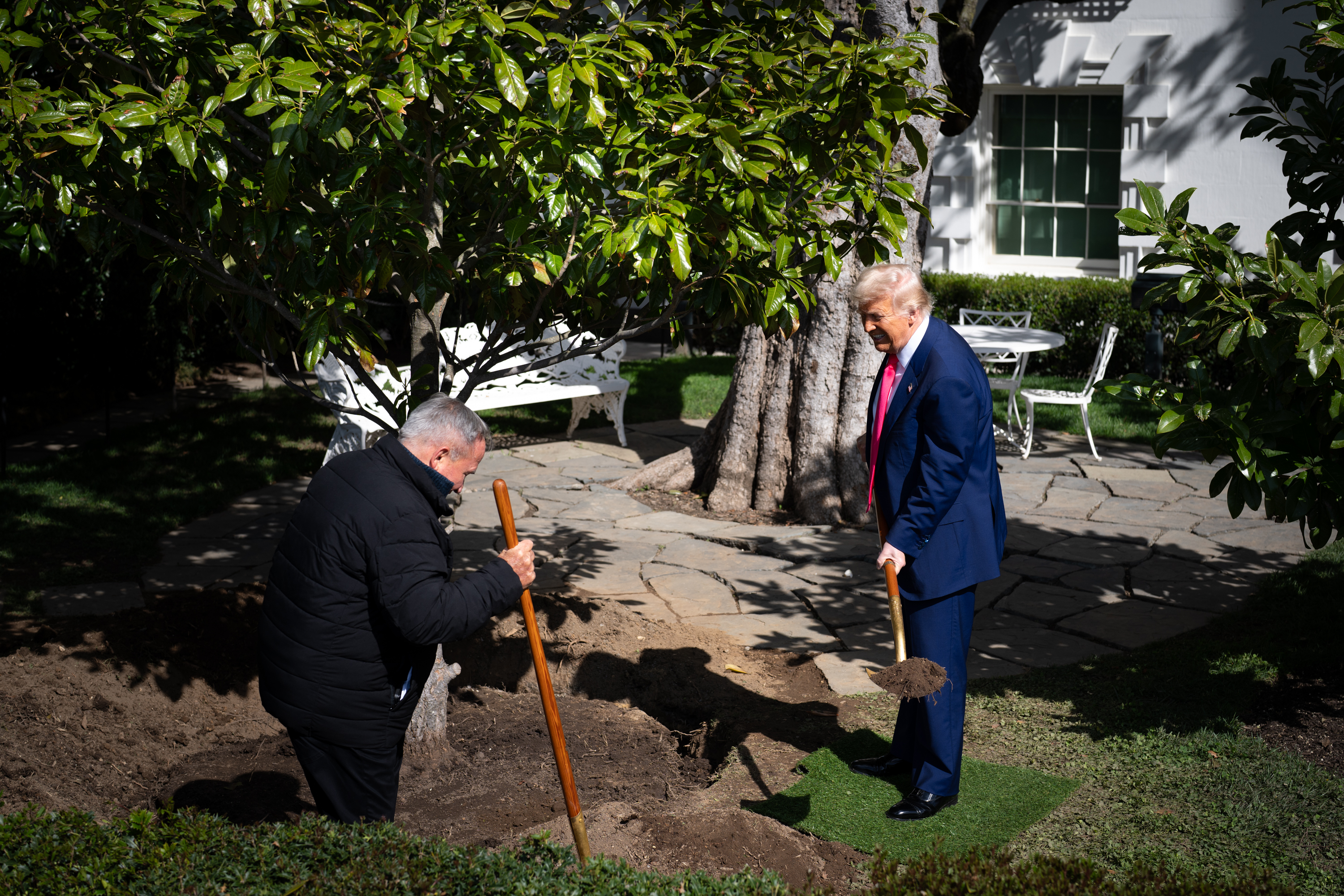 Donald Trump, magnolija