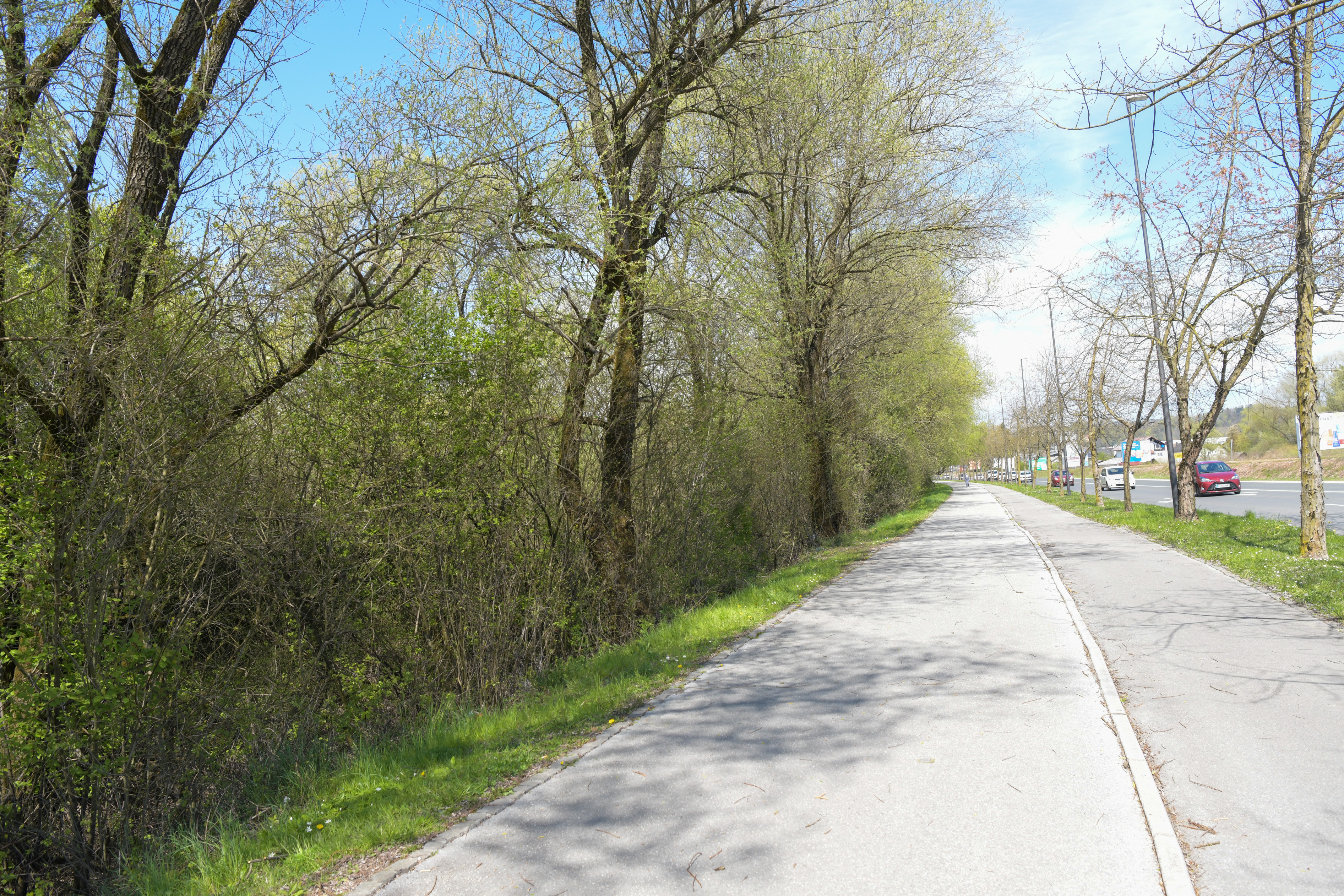 Zemljišče Nikole Petrovića v Ljubljani (Foto: N1)