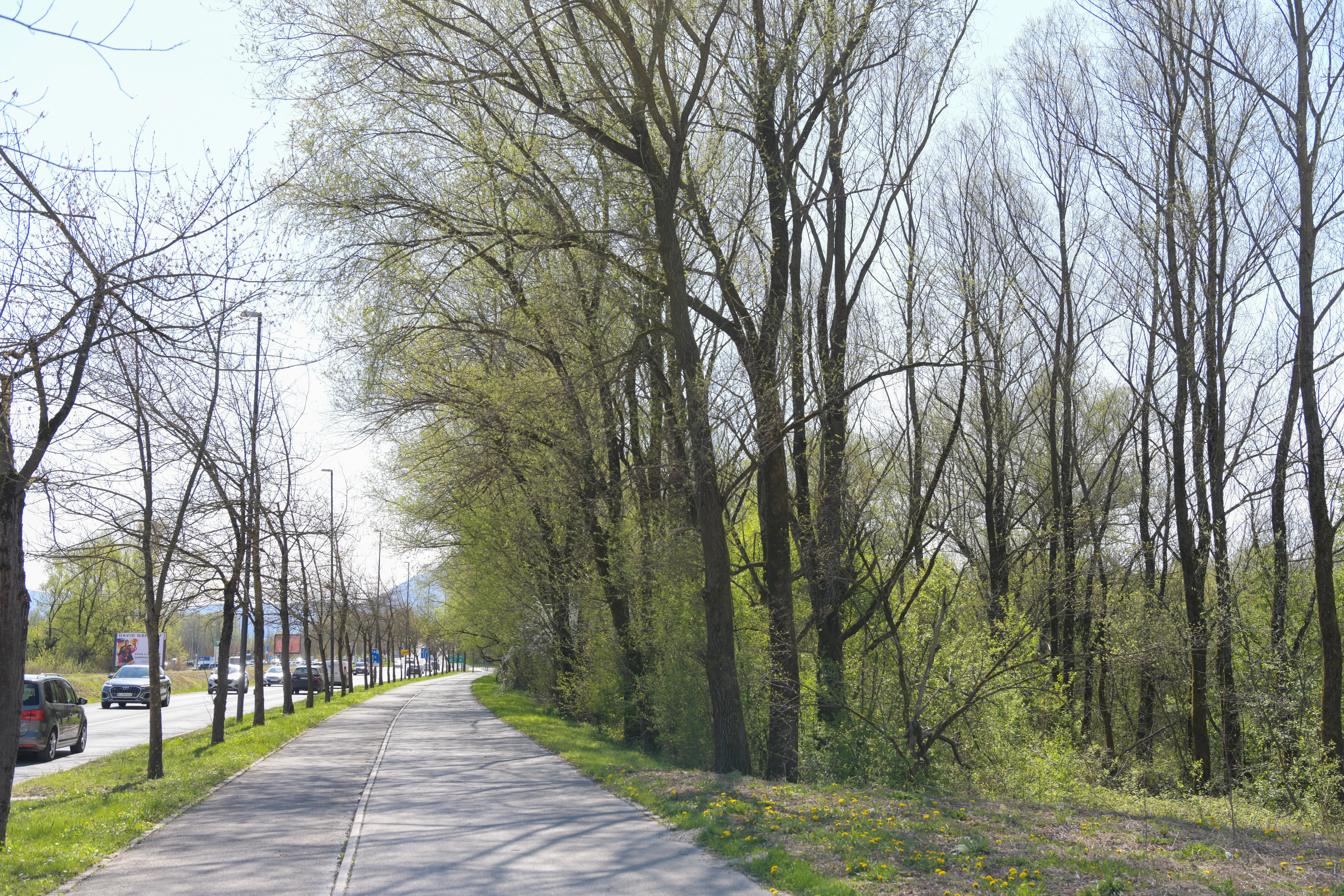 Zemljišče Nikole Petrovića v Ljubljani (Foto: N1)