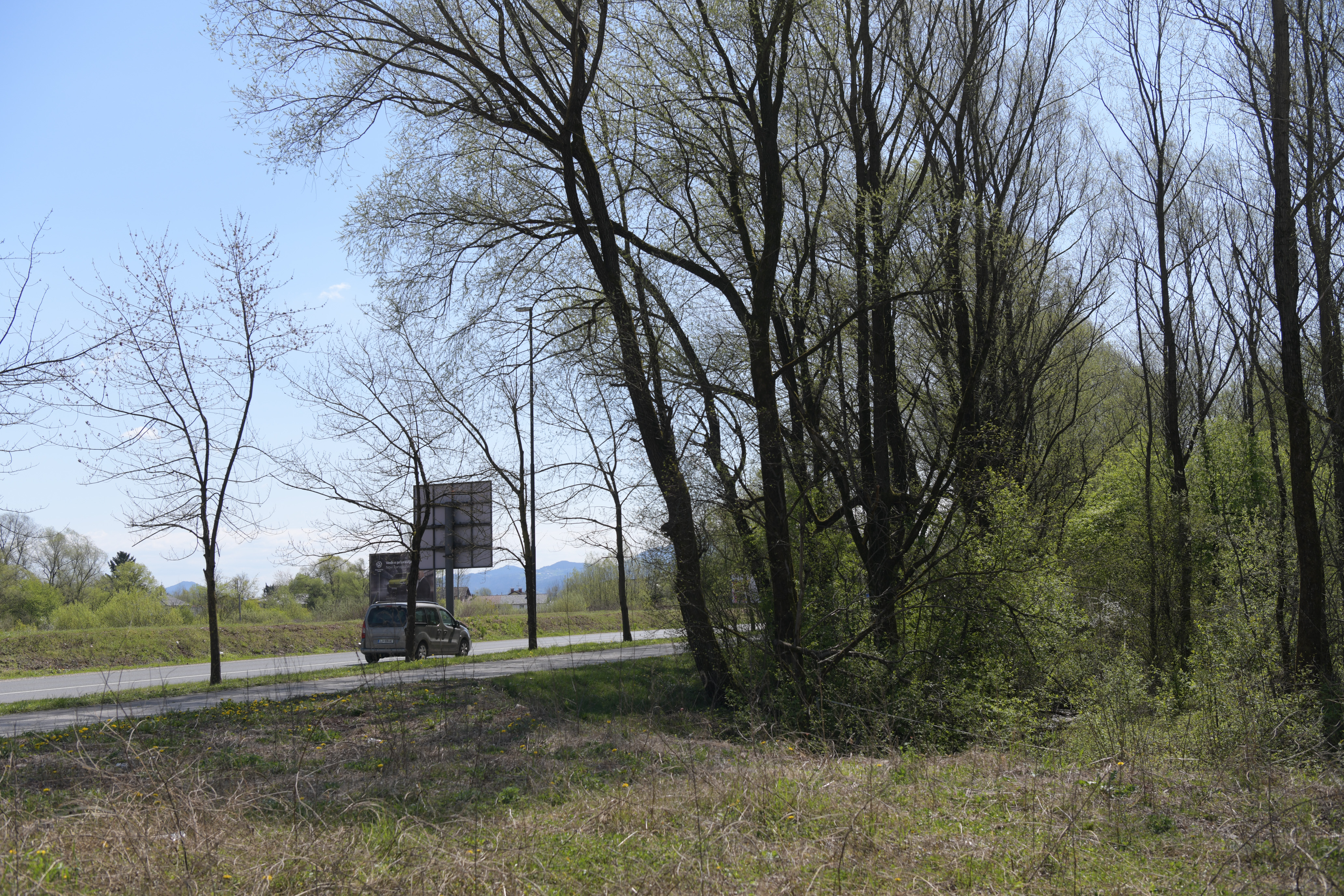 SARAH PARCELE (49 of 62)