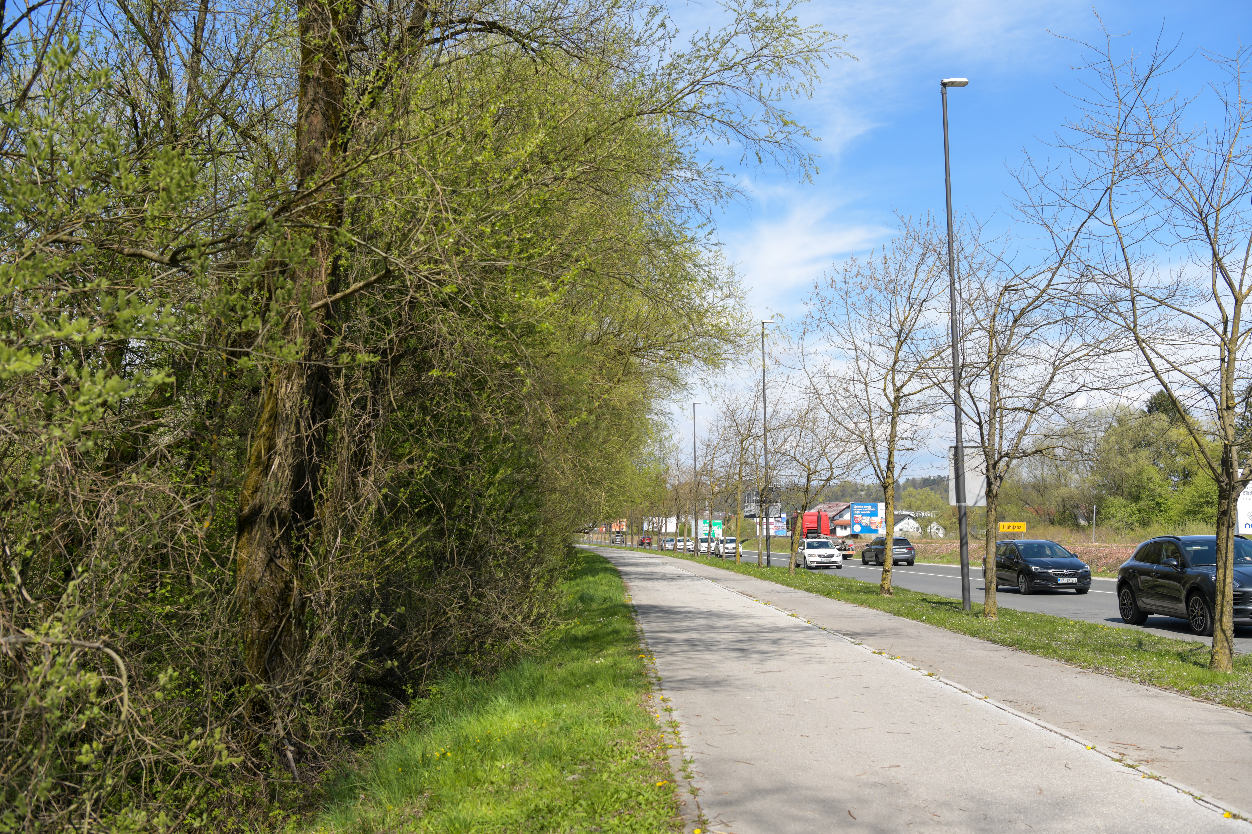 SARAH PARCELE (41 of 62)