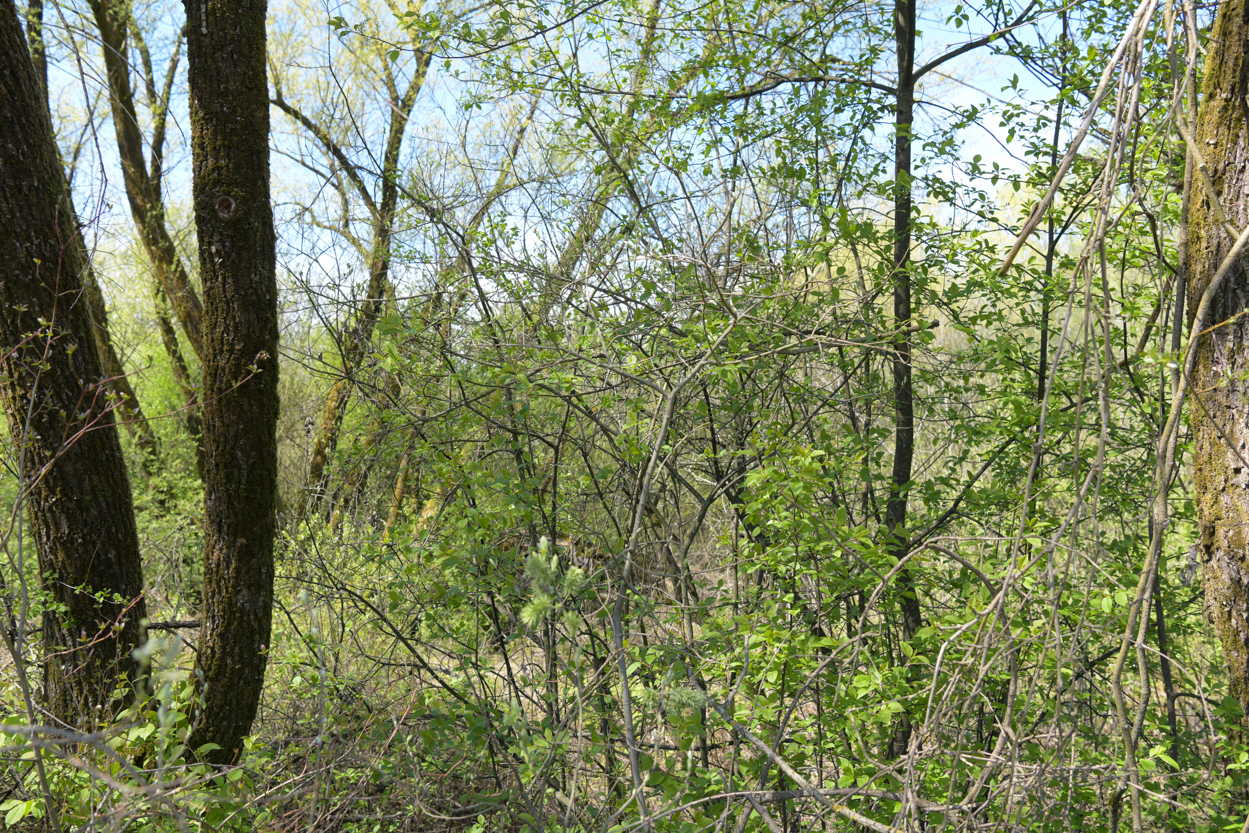 SARAH PARCELE (43 of 62)