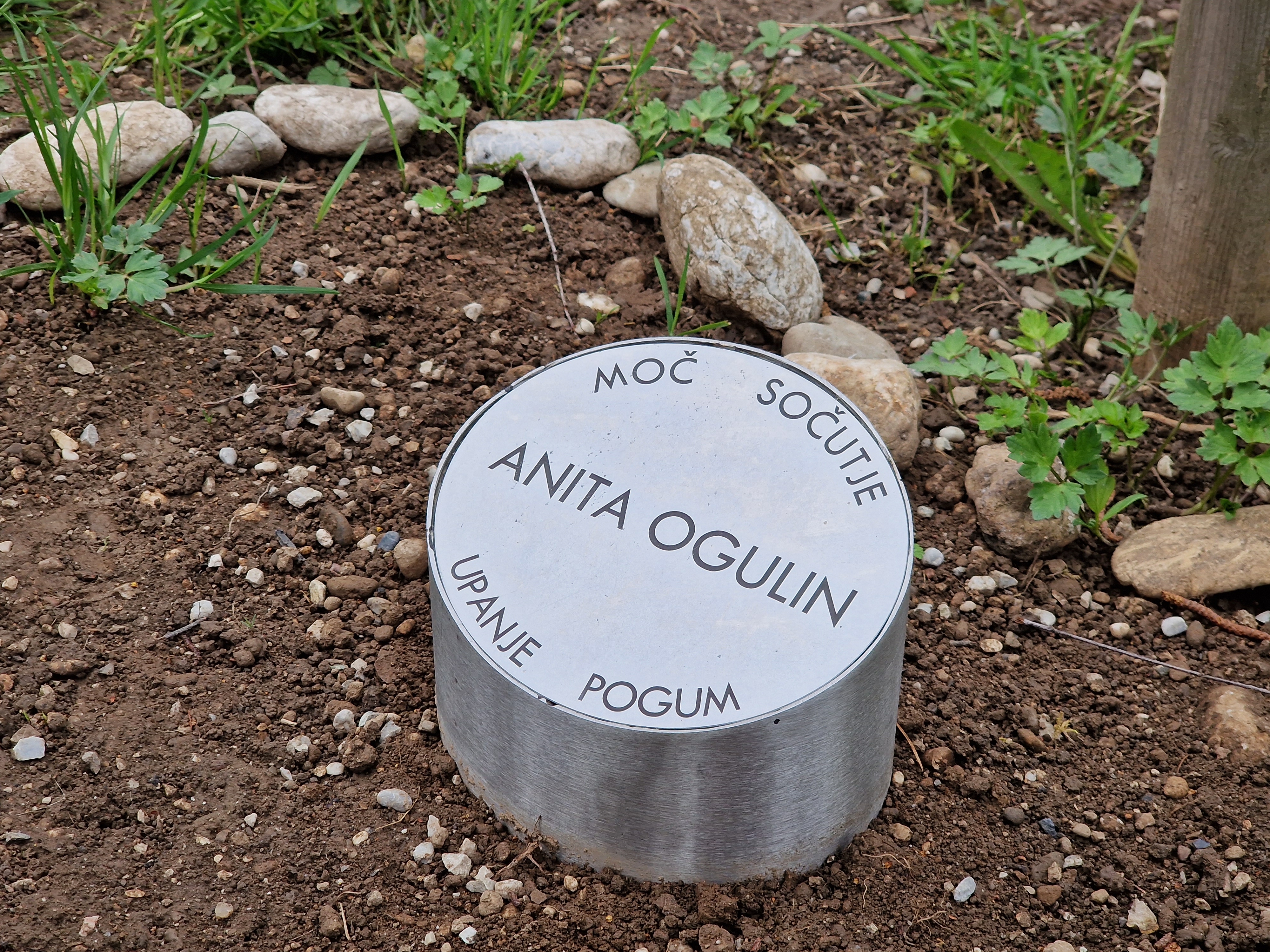 Anitino drevo in spominska tabla v spomin pokojni humanitarki Aniti Ogulin