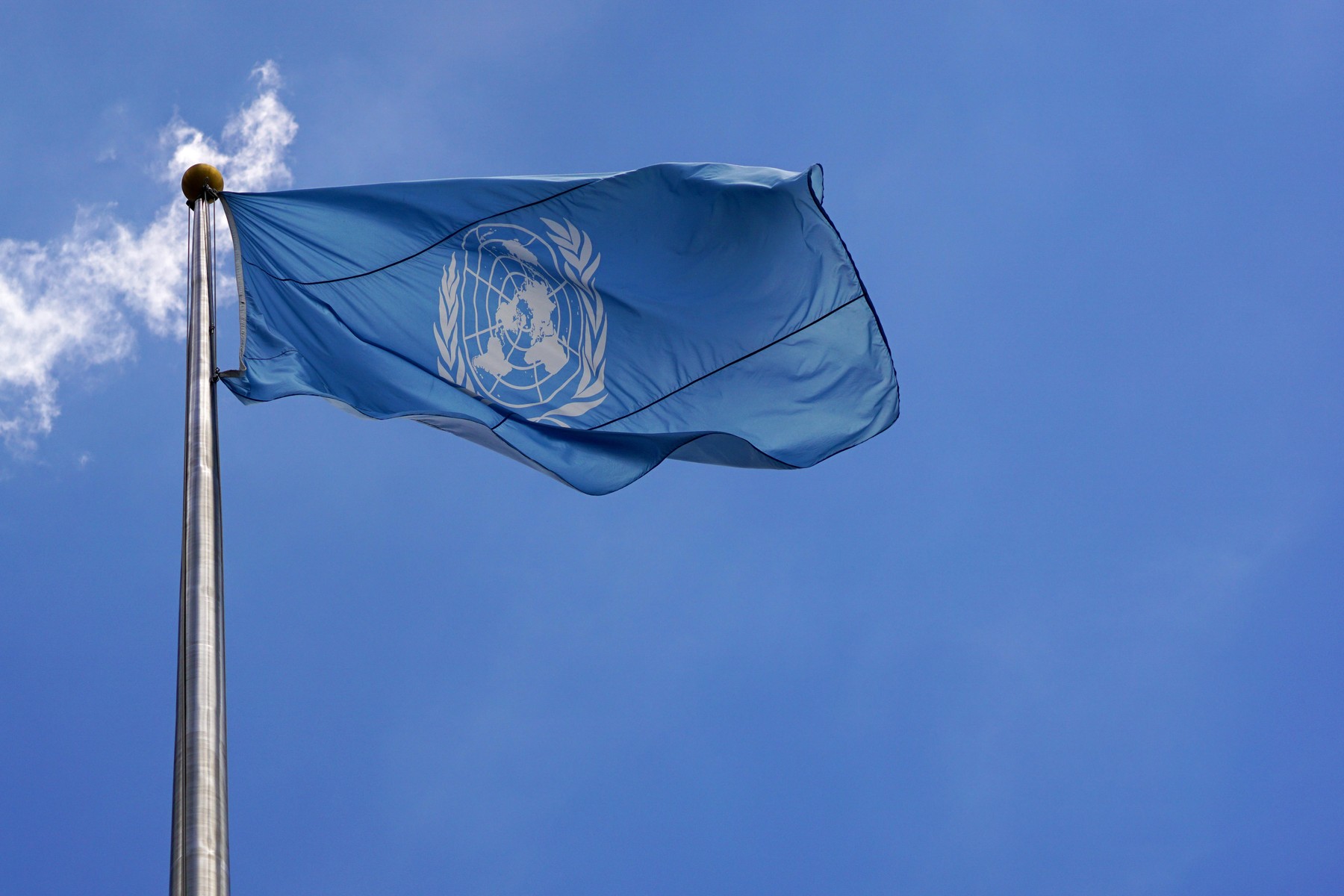 zastava, Združeni narodi