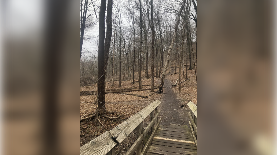 high-res-image - 2025-04-22T151404.016