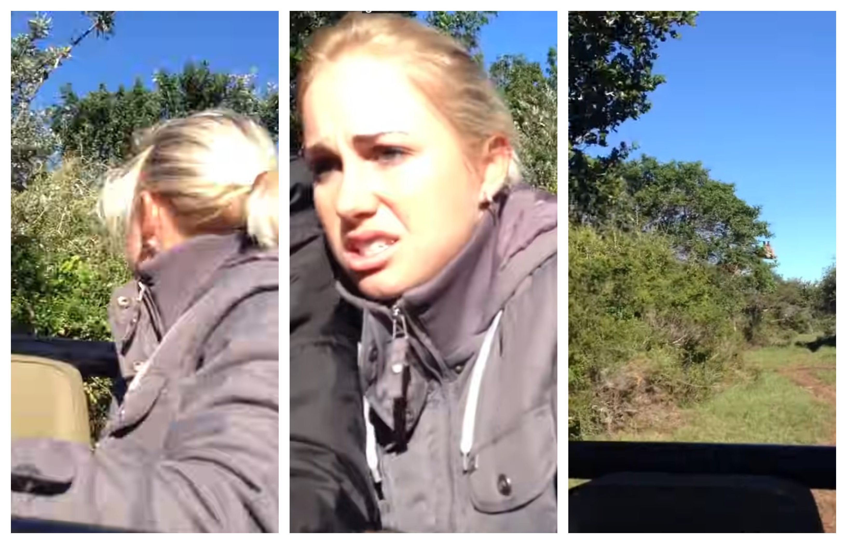 žirafa, beg,  safari, Afrika