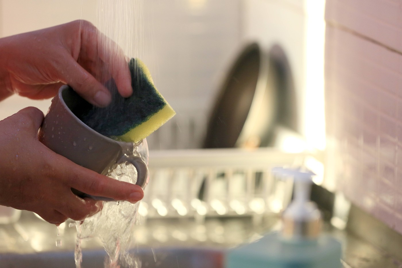 gobica, pomivanje posode