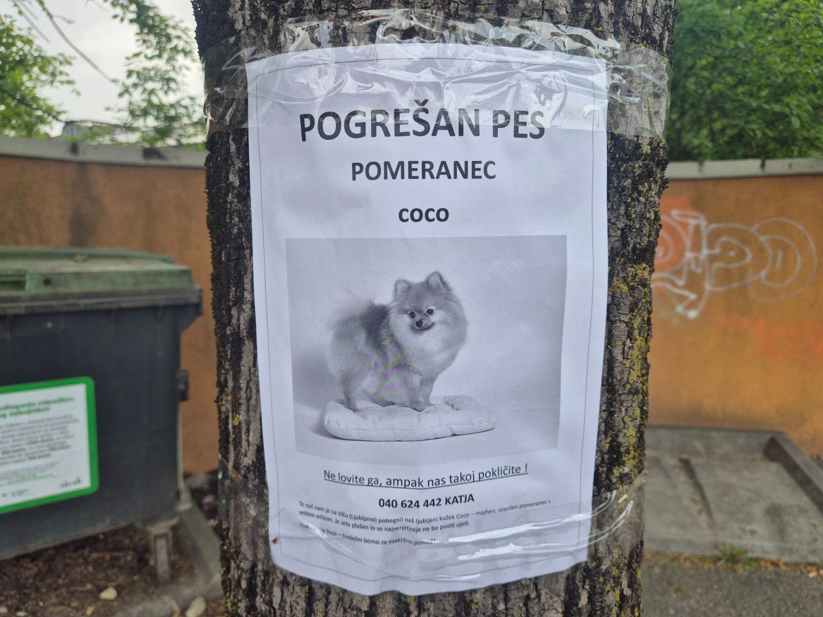 Pogrešani Coco