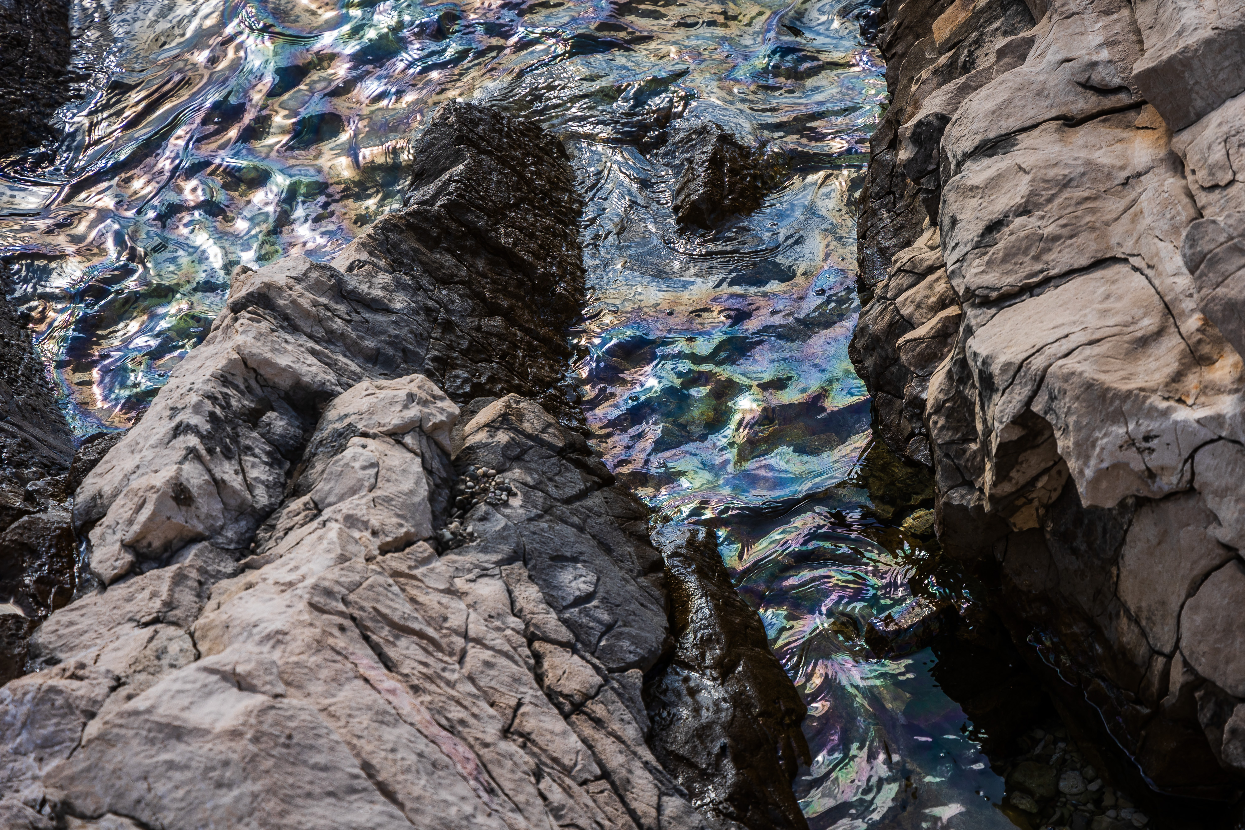  Foto: Zvonimir Barišin/PIXSELL/F.A.Bobo