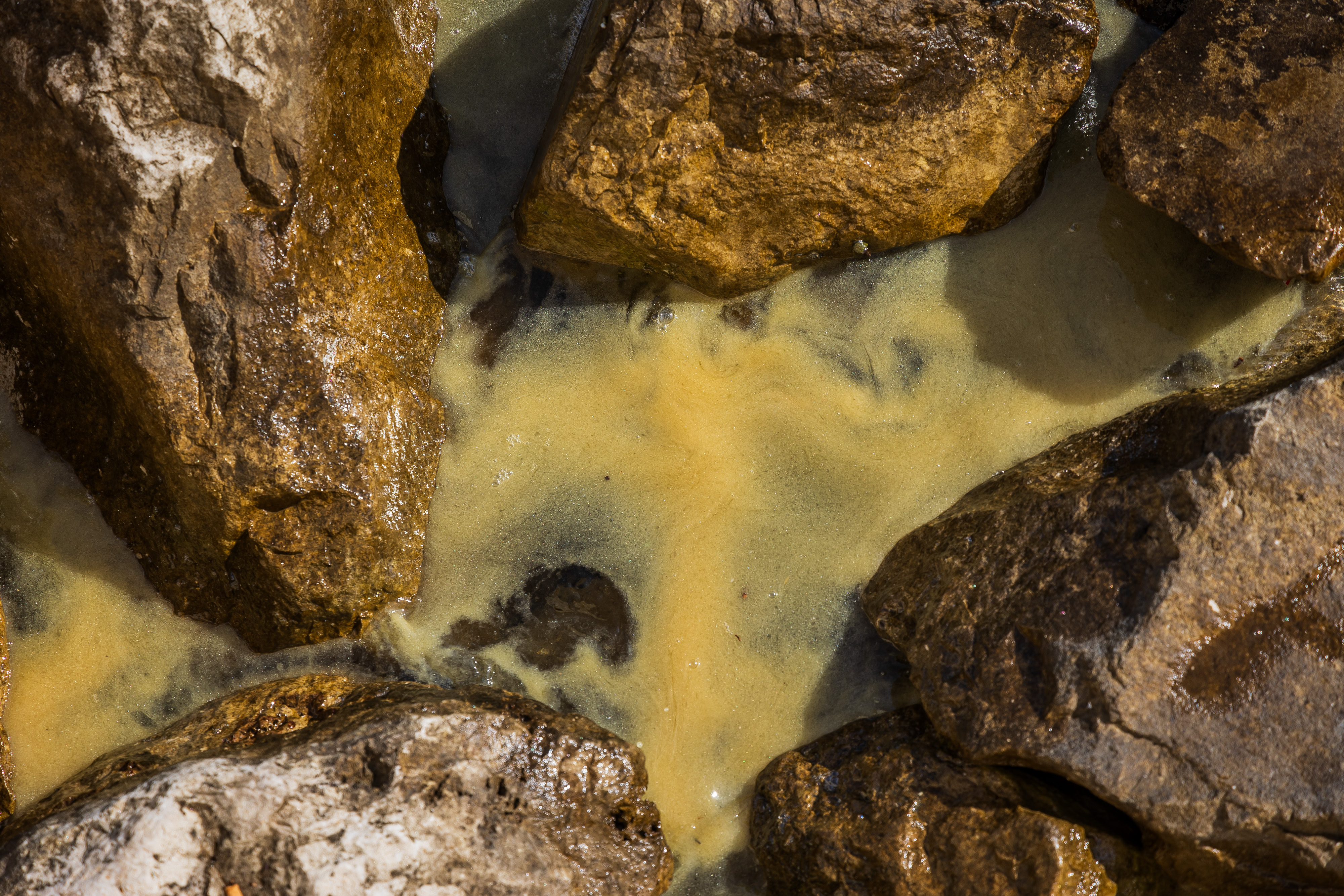  Foto: Zvonimir Barišin/PIXSELL/F.A.Bobo