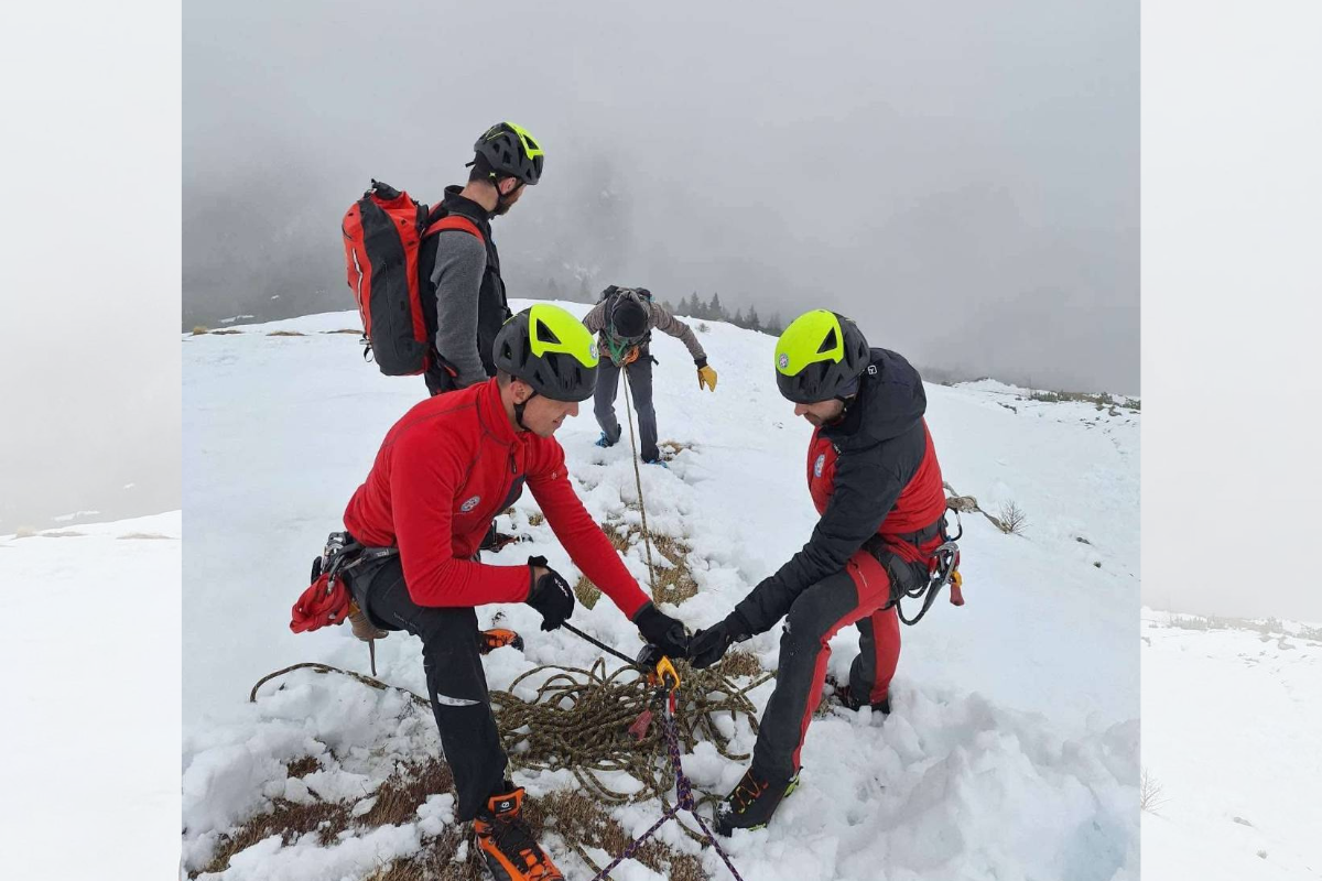 Izdelek brez naslova