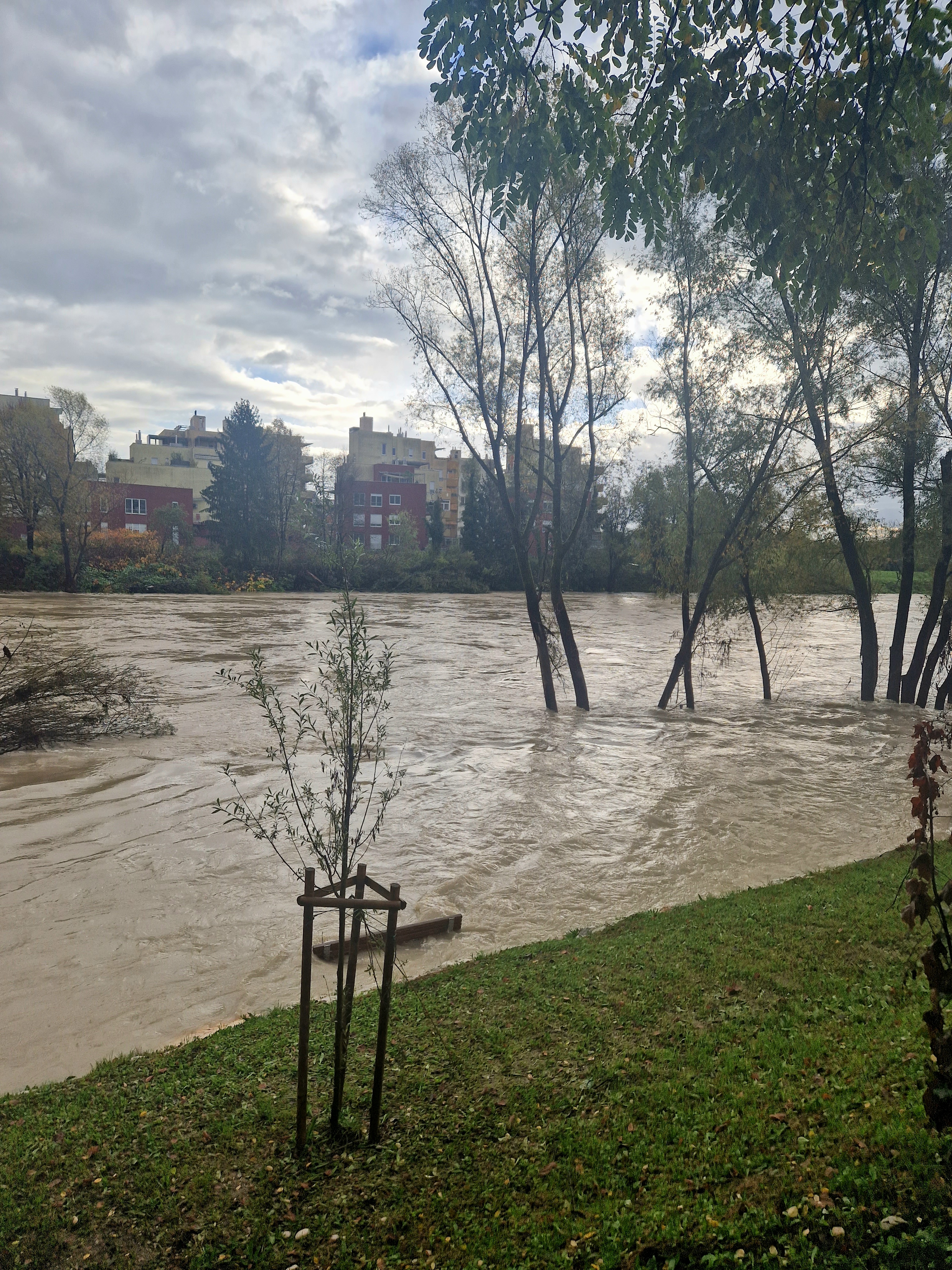 plaža, sava, črnuče