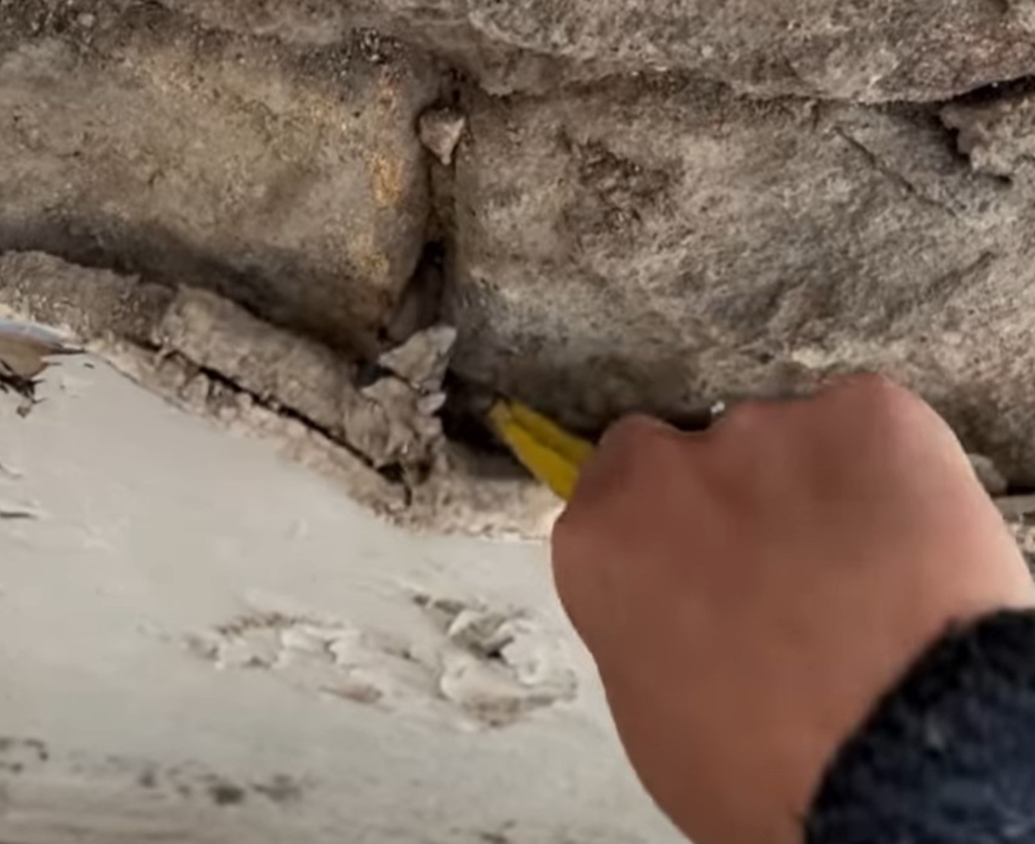 Instagram, prenova hiše