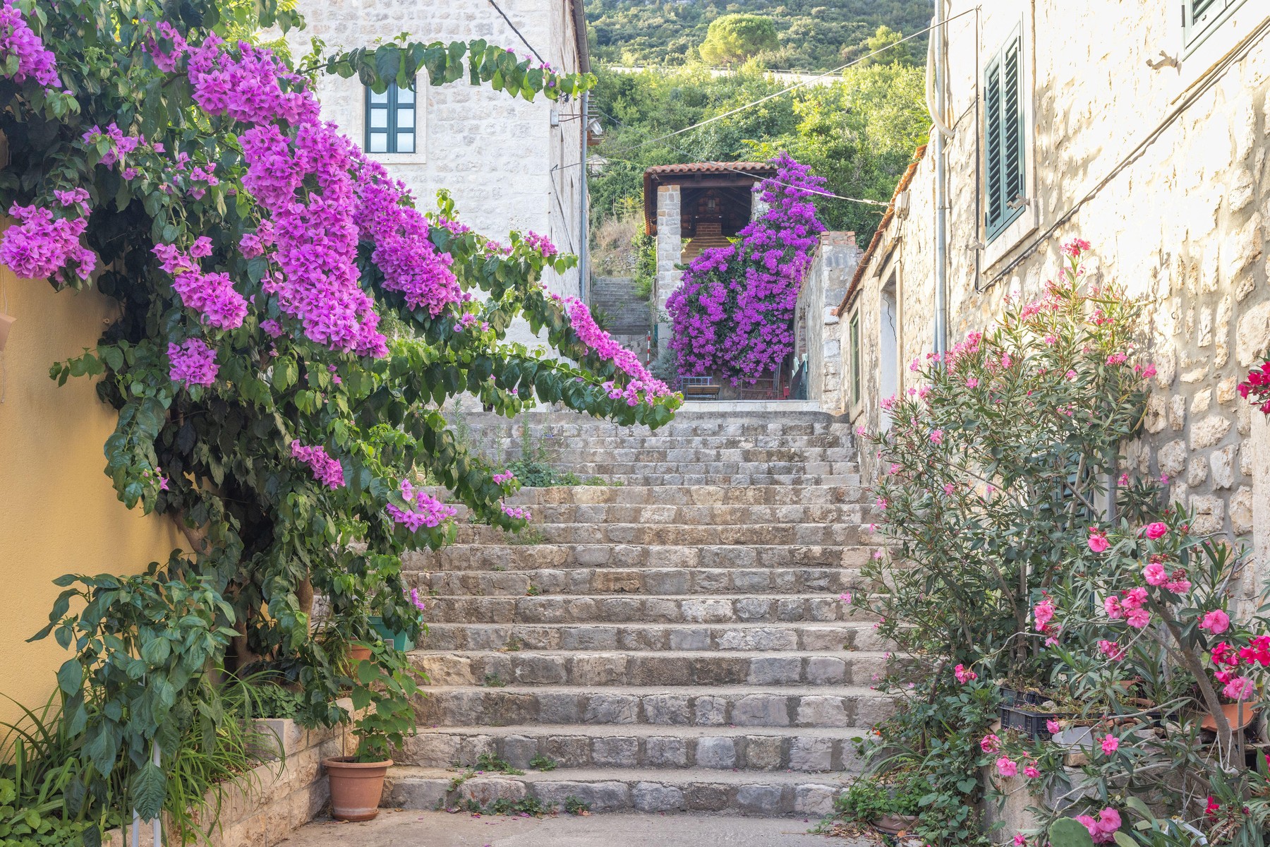 ston, pelješac, hrvaška