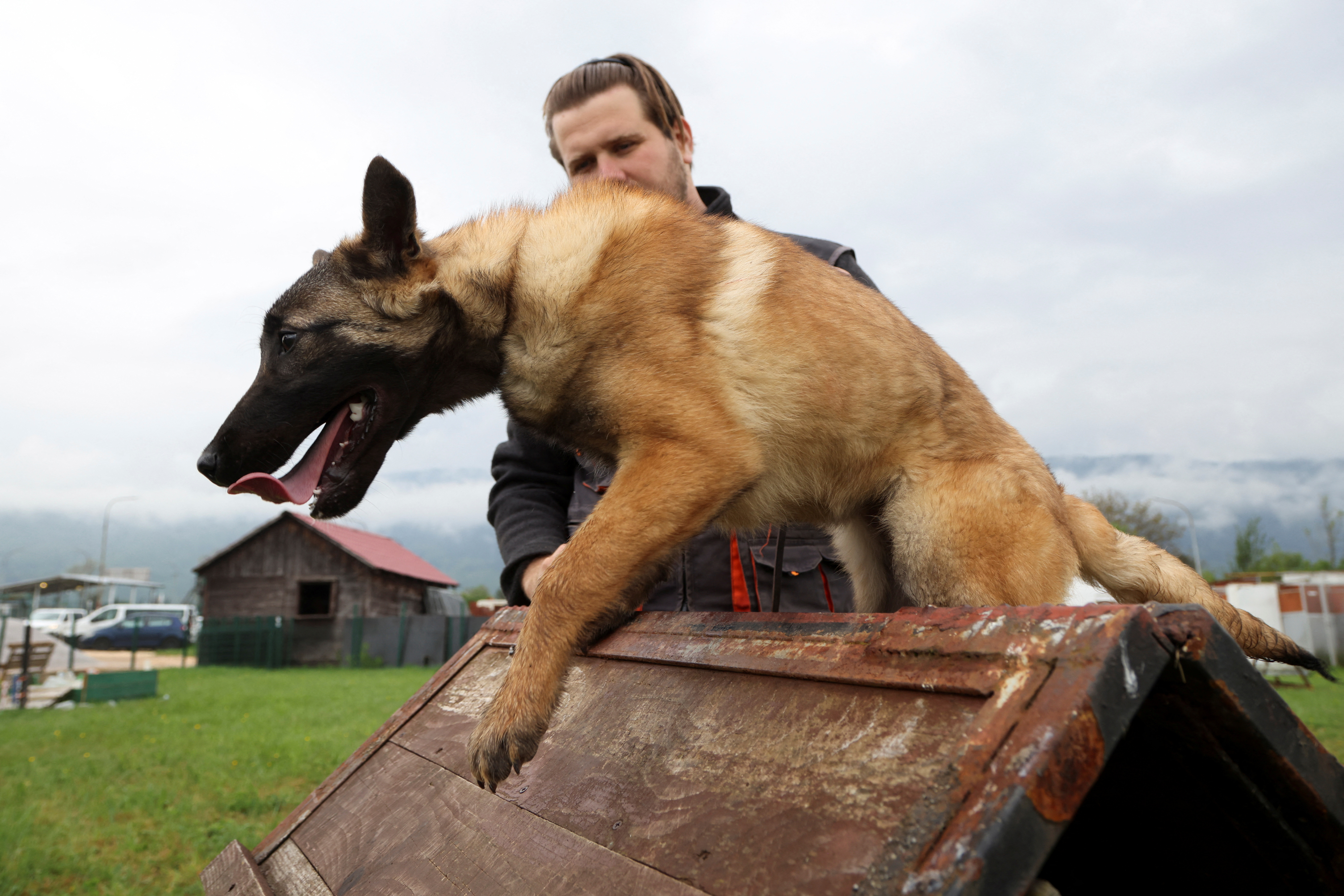 iskanje min, sarajevo, bosna, psi