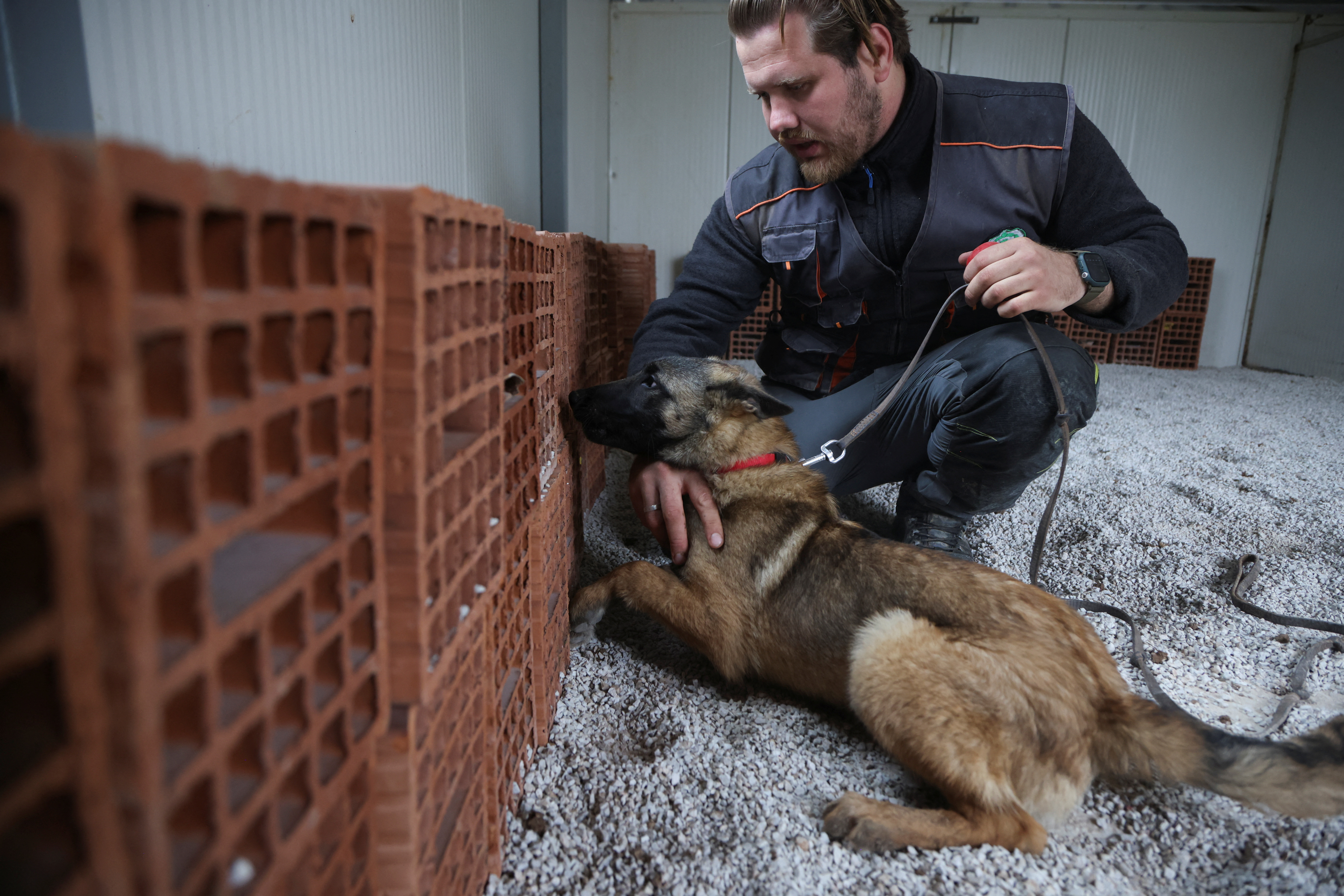 iskanje min, sarajevo, bosna, psi