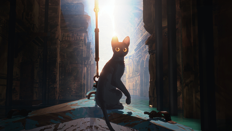 29a2b502d5a812cf0370d5ae5abf8a72