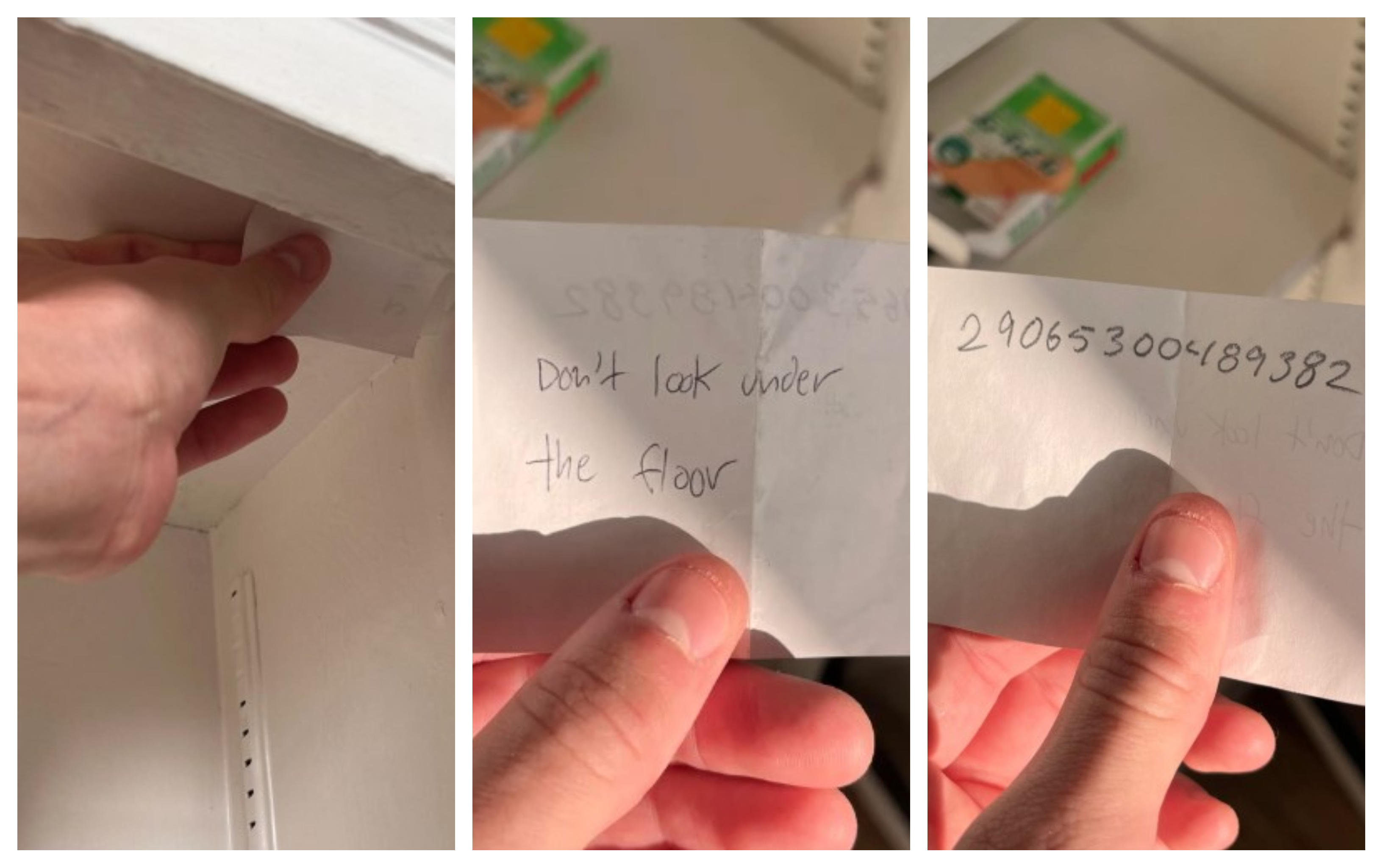 sporočilo, viralno, Seattle