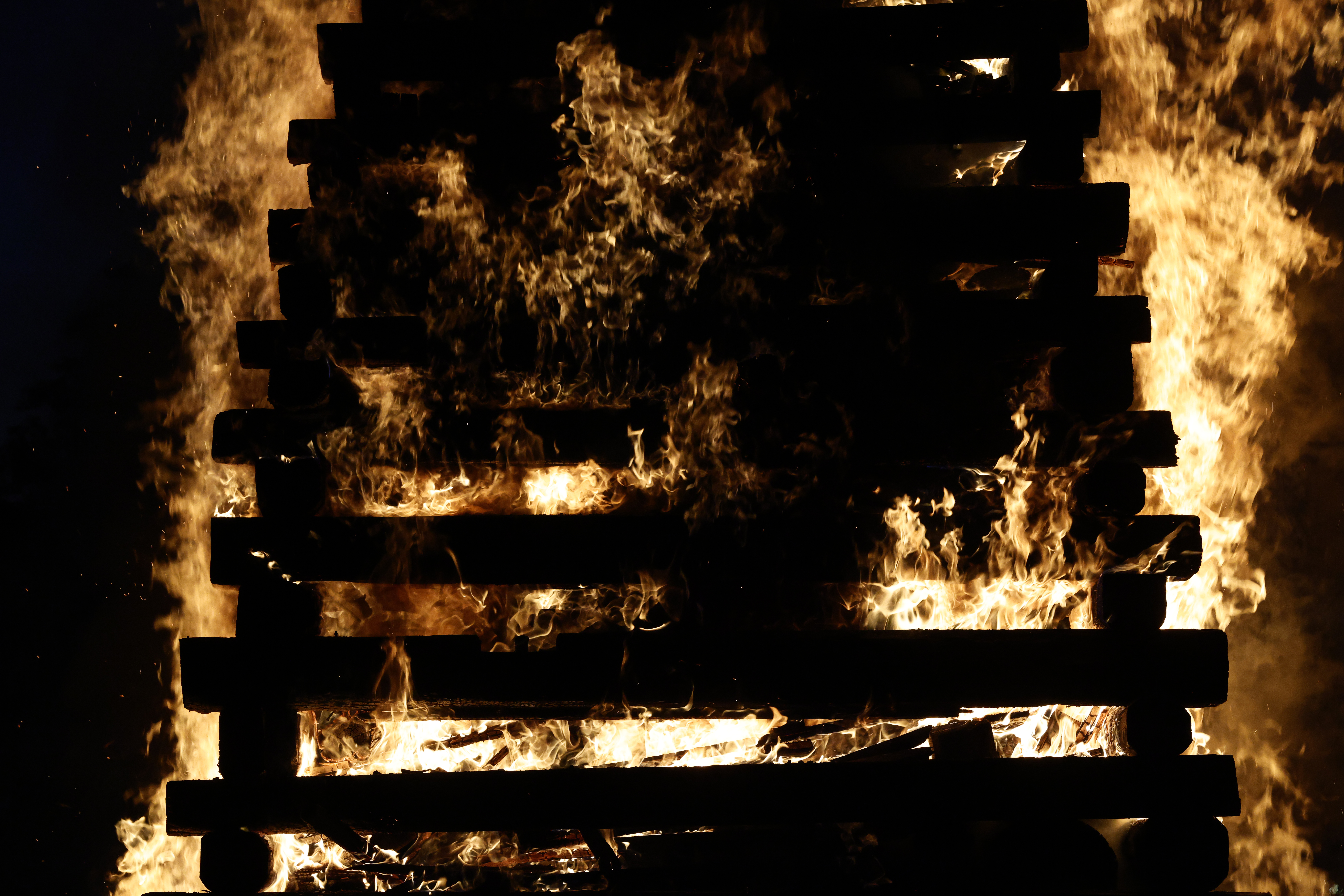 Foto: Borut Živulovič/F.a.Bobo