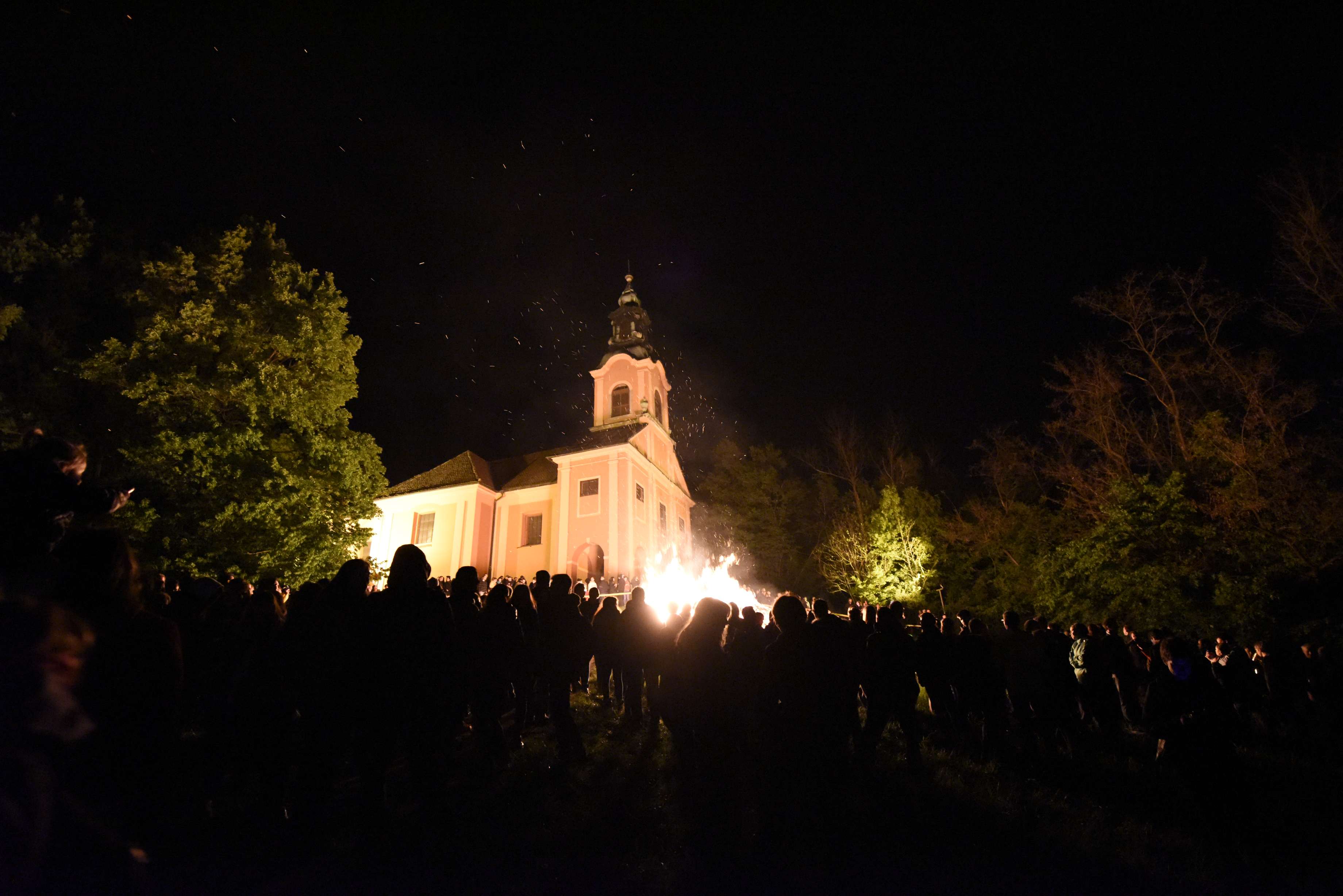 Foto: Ziga Zivulovic jr./BOBO