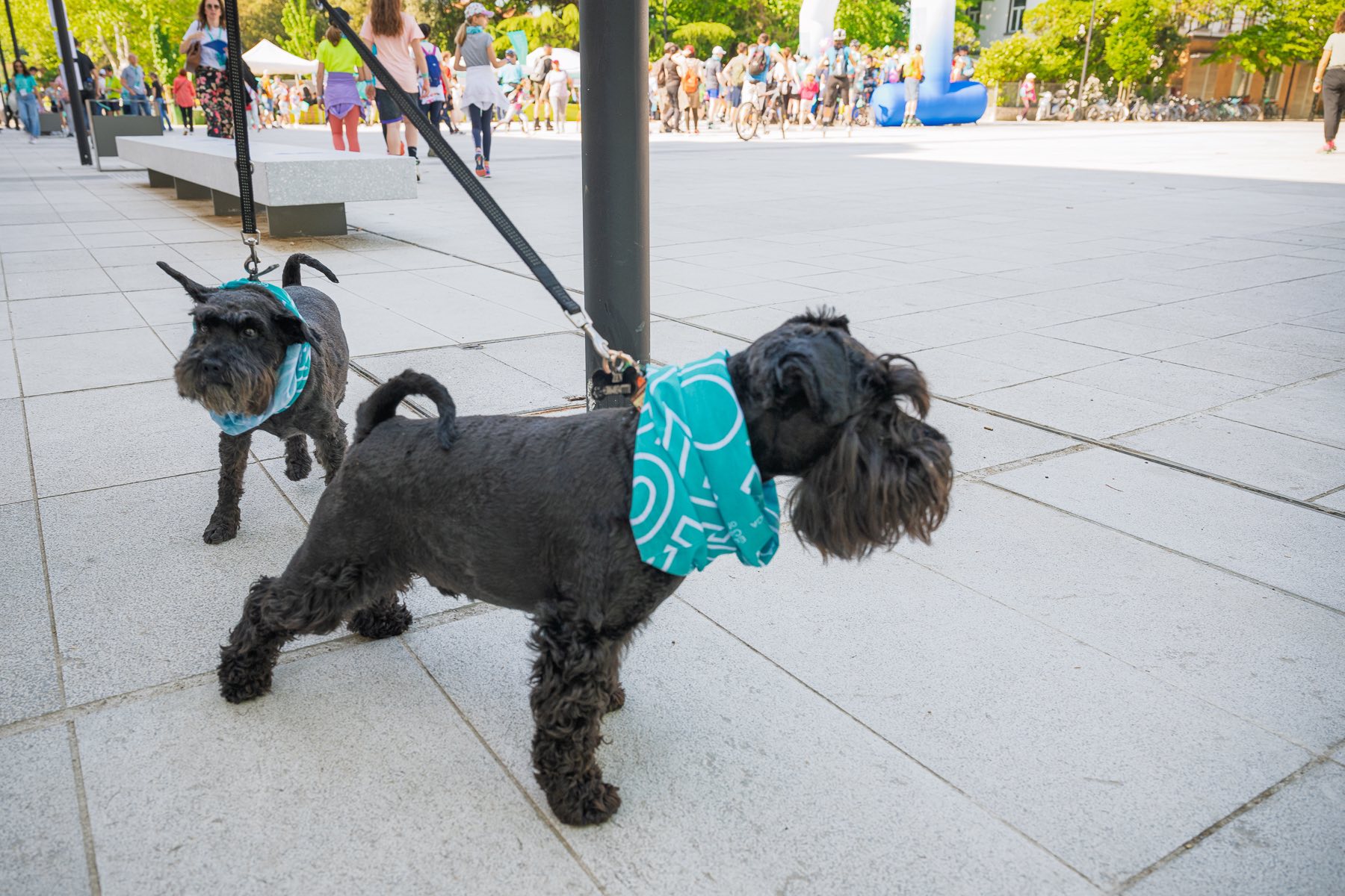 Pohod prijateljstva, Nova Gorica, Gorica EPK