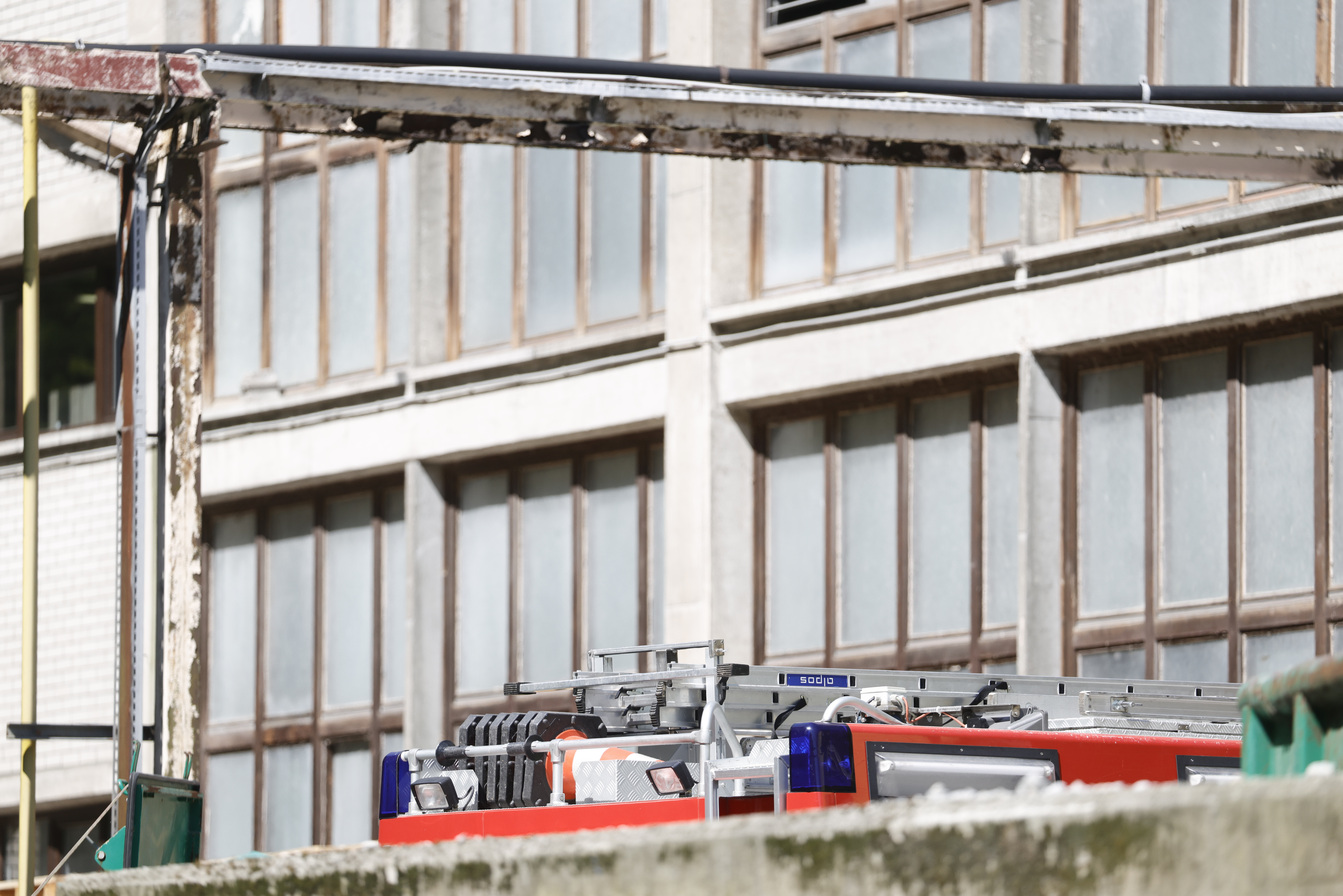 Foto: Borut Živulović/F.A.BOBO