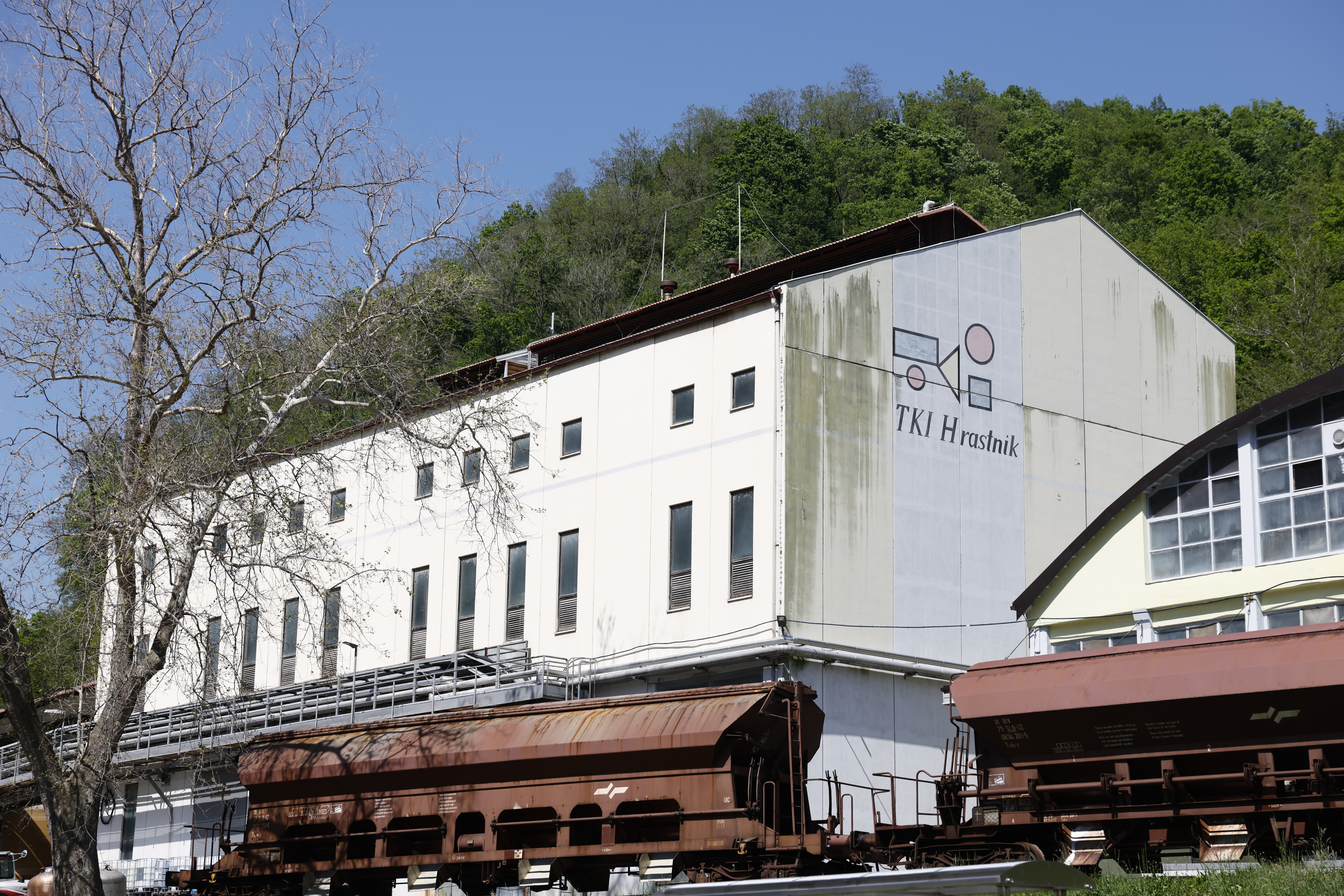 Foto: Borut Živulović/F.A.BOBO