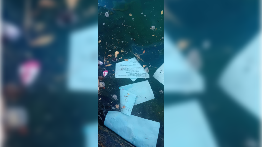 Glasovnice v morju pri Braču