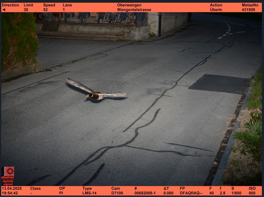 Švicarski radar je ujel raco