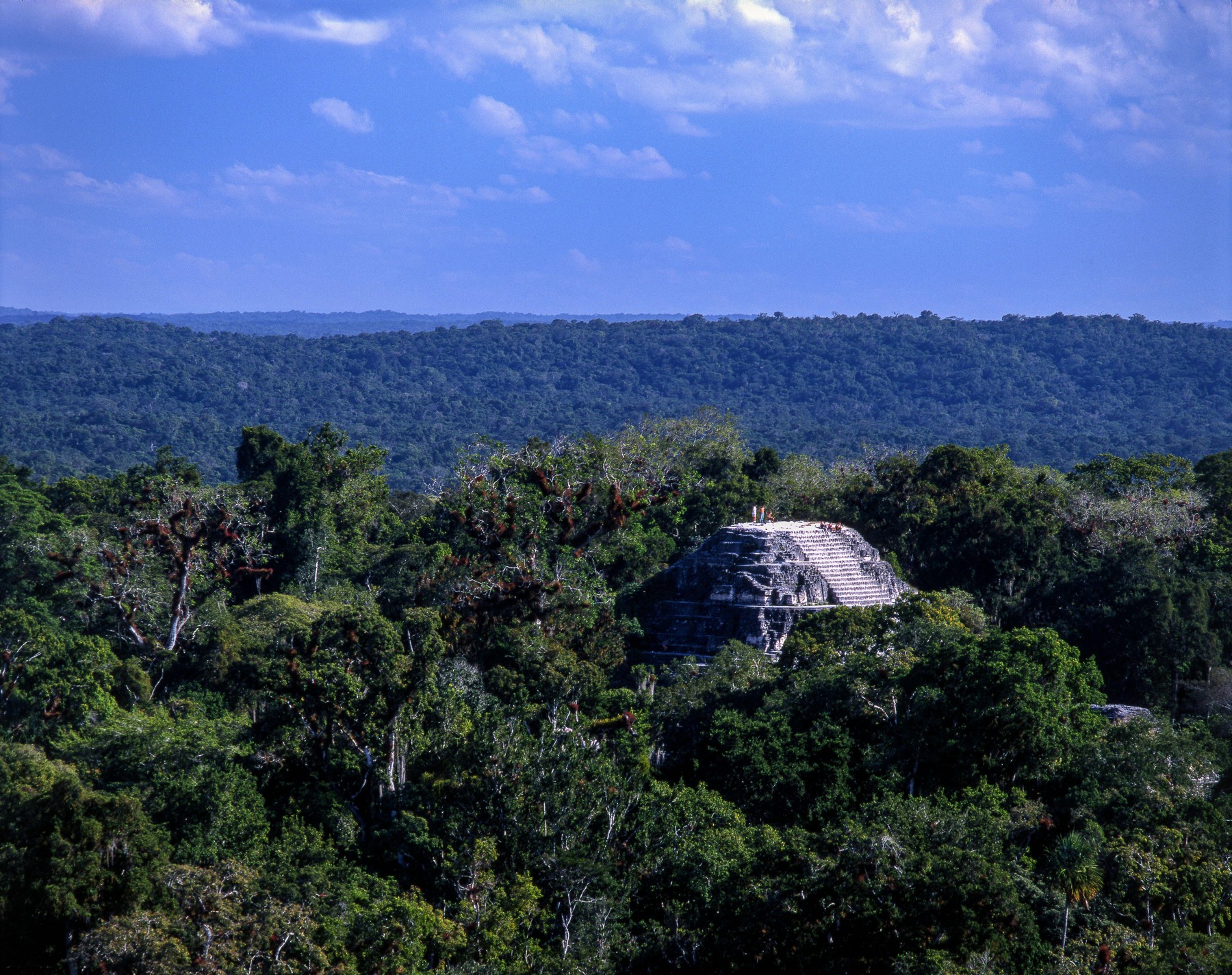 Arheologi so v jami pod arheološkim najdiščem našli ostanke človeških kosti