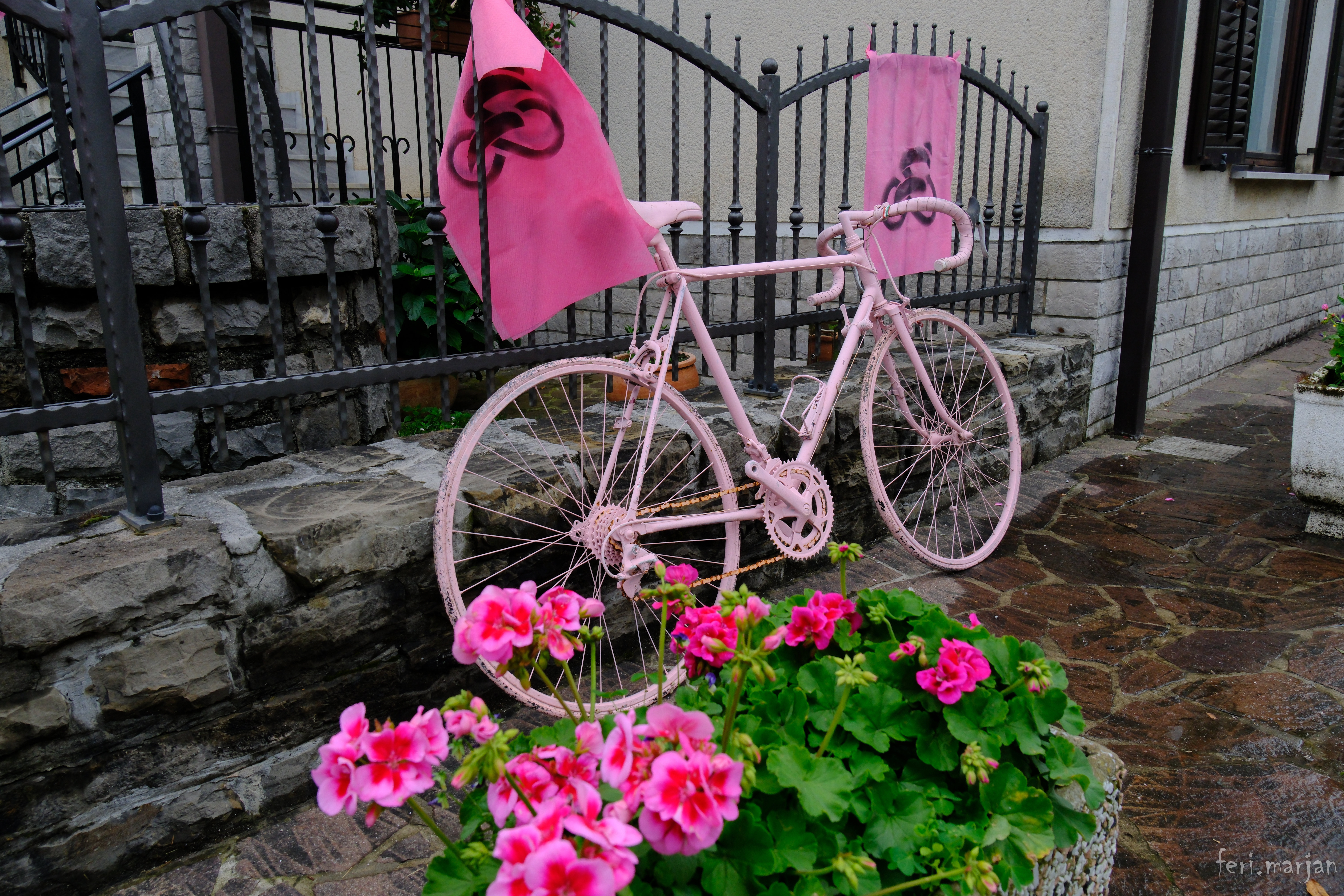 Okrasitev pred prihodom Gira v Goriških brdih