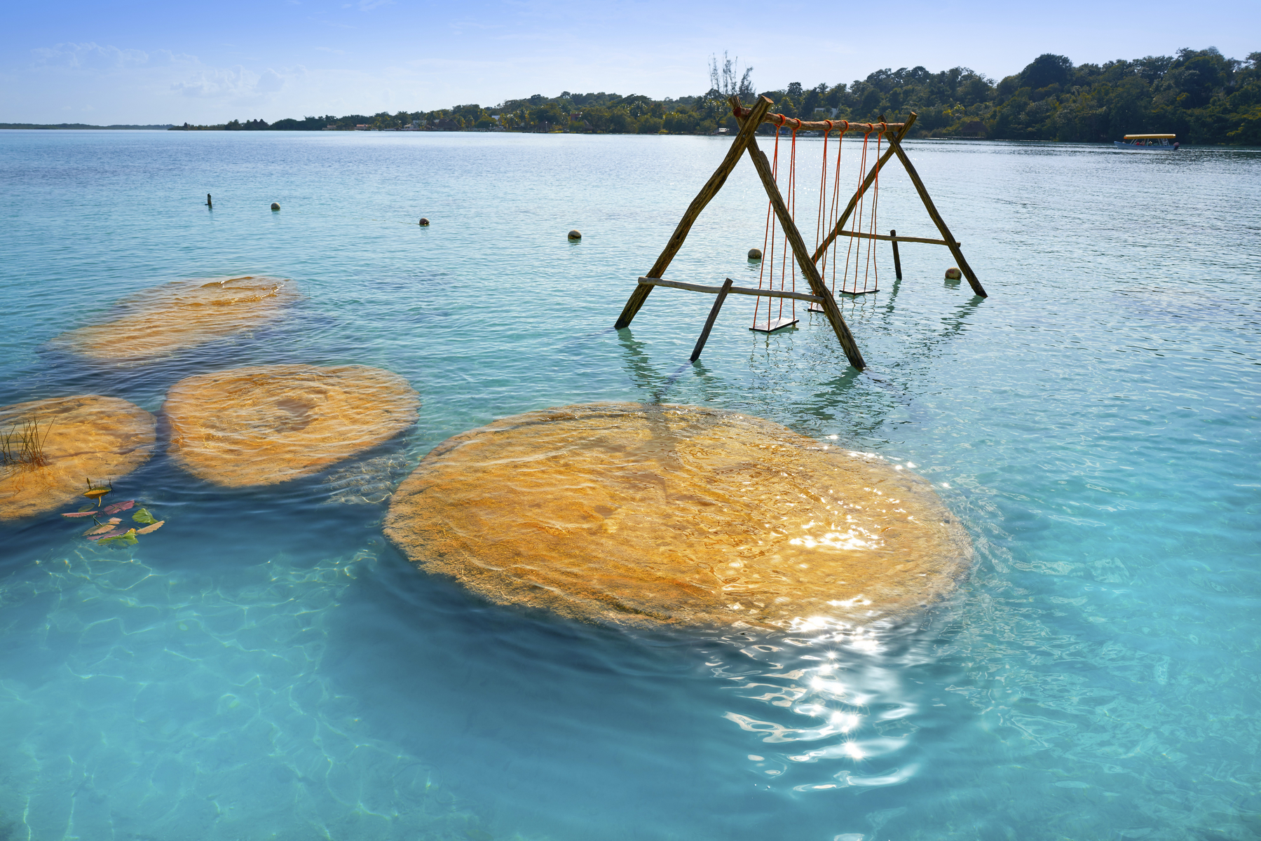 Živi fosili stromatoliti v laguni Bacalar