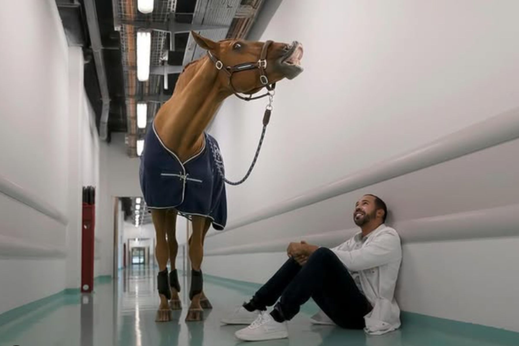 Žrebec Peyo in njegov lastnik Hassen Bouchakour