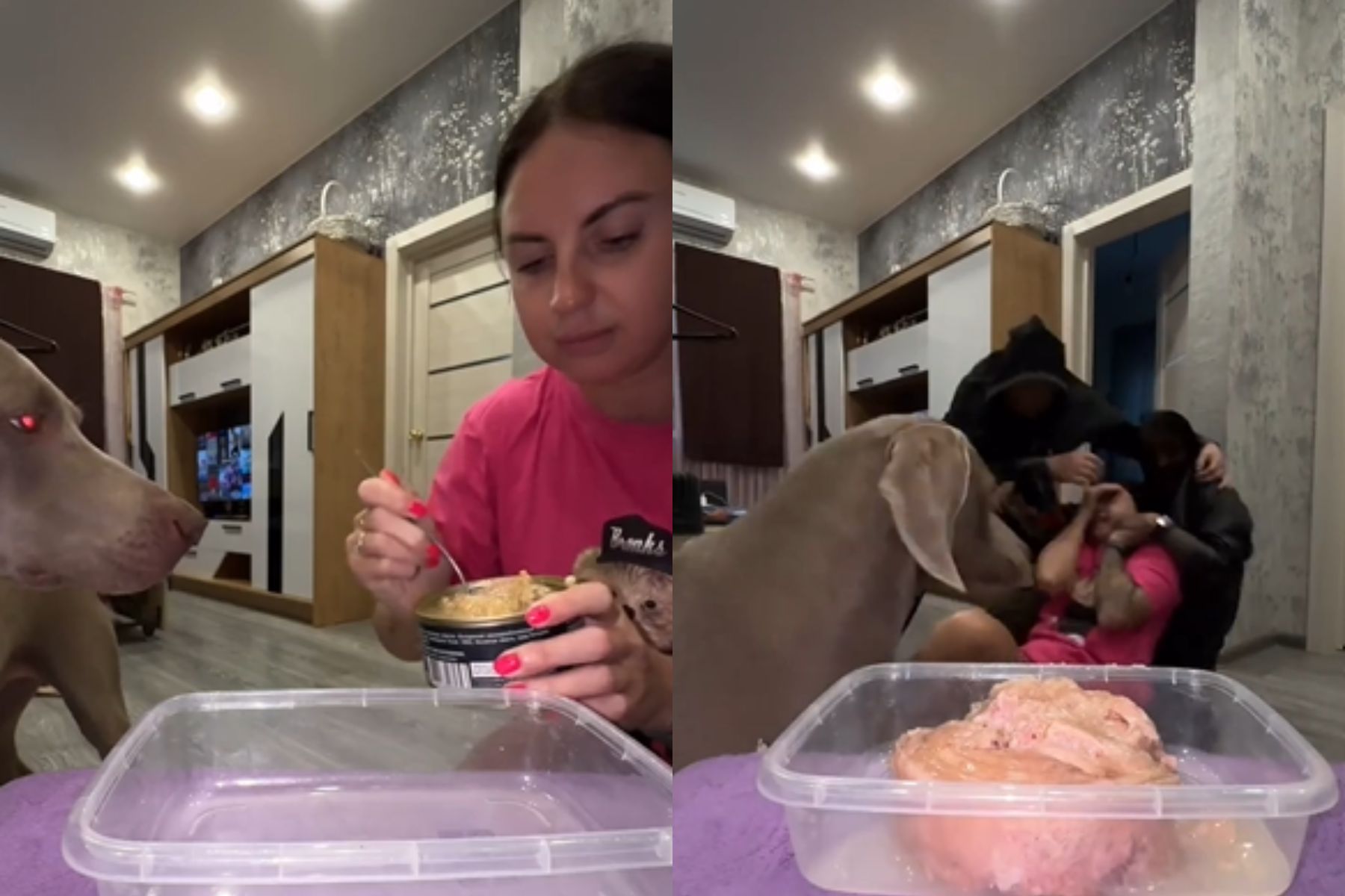 Uporabnica spletnega portala Reddit je neuspešno pretentala svojega psa