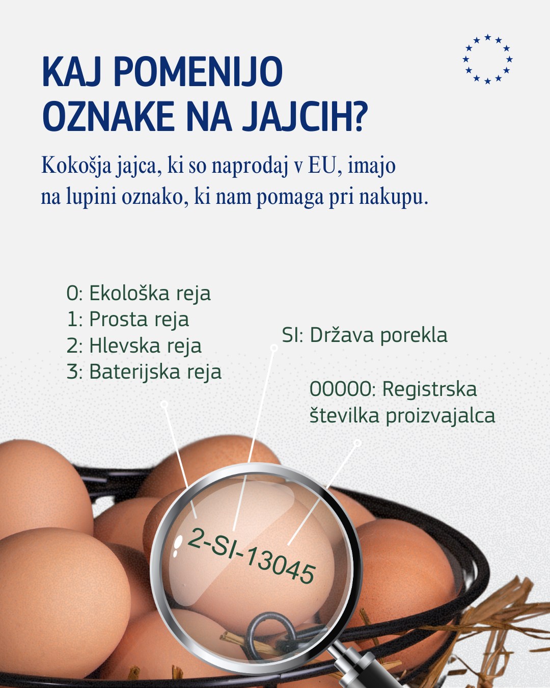 Kaj pomenijo oznake na jajcih