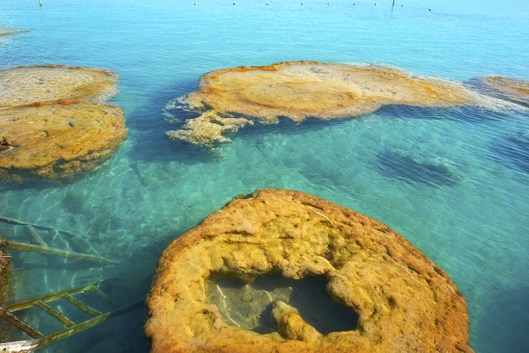 Živi fosili stromatoliti v laguni Bacalar