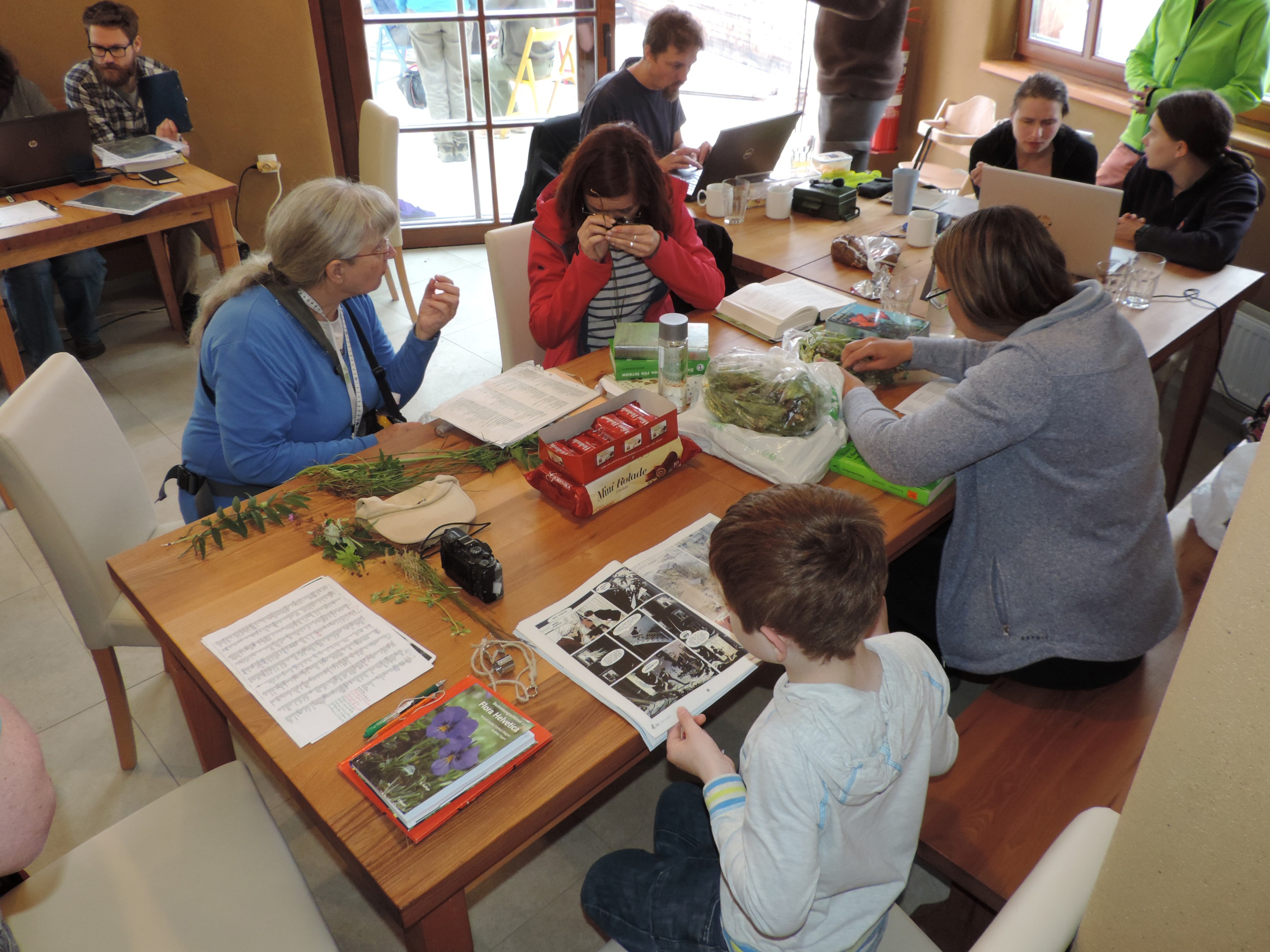 Utrinki s terena 3_Alja_Pirnat (3)(1)