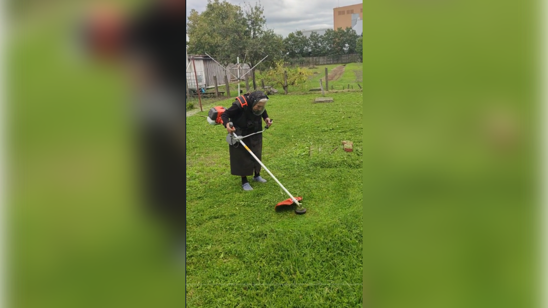 Nona kosi s kosilnico