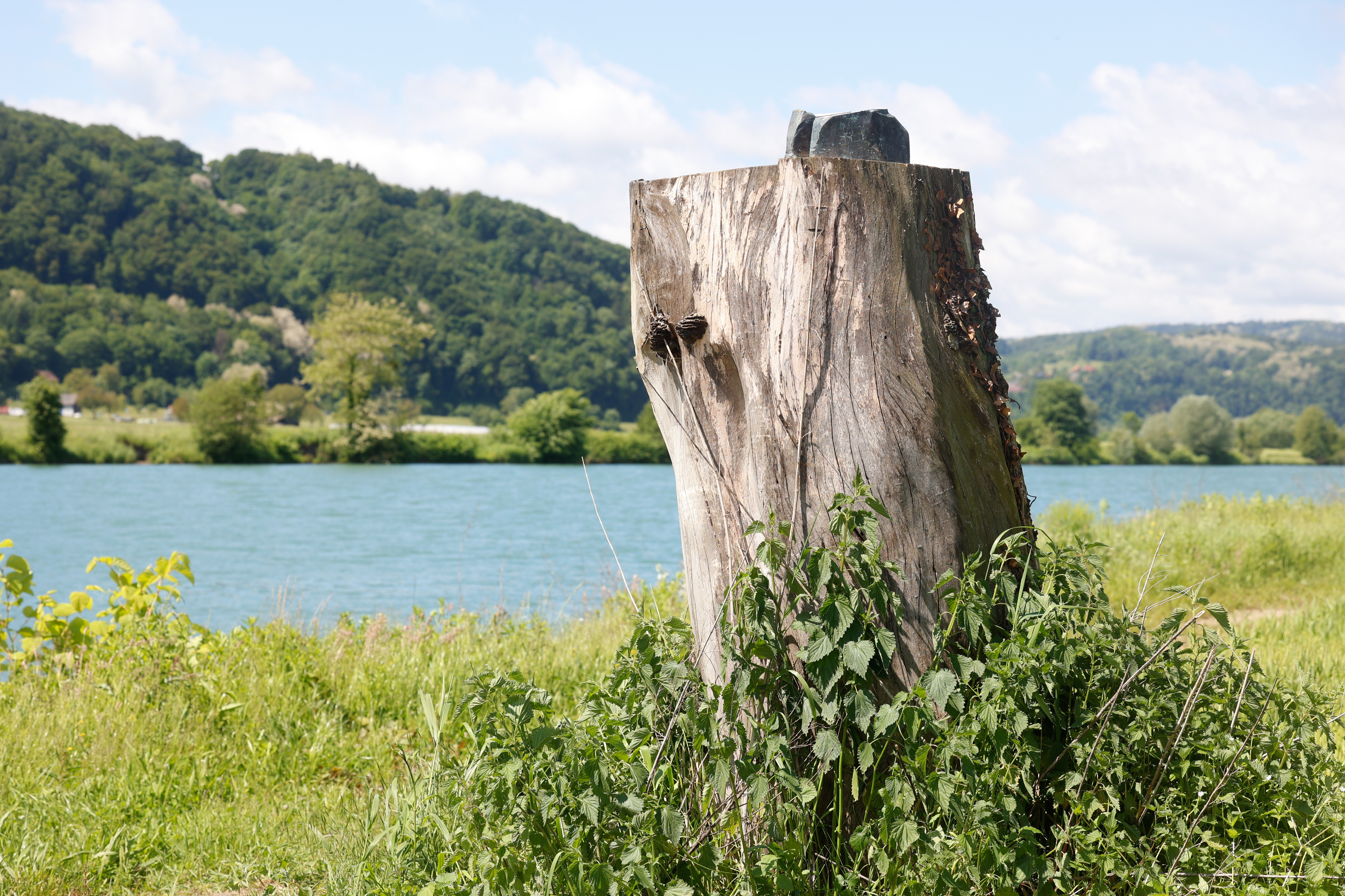 kip melania trump sevnica (3).jpg