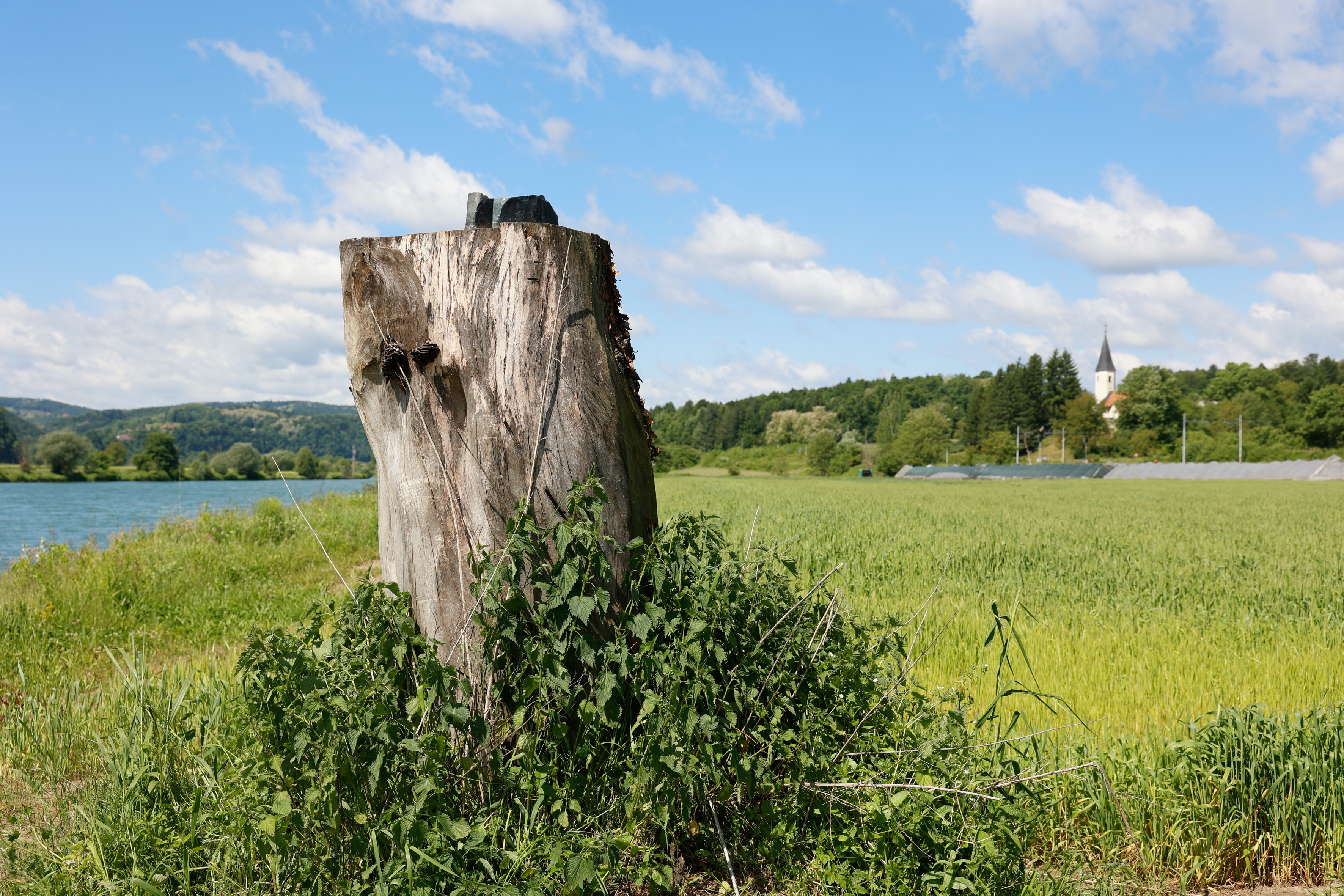 kip melania trump sevnica (4).jpg